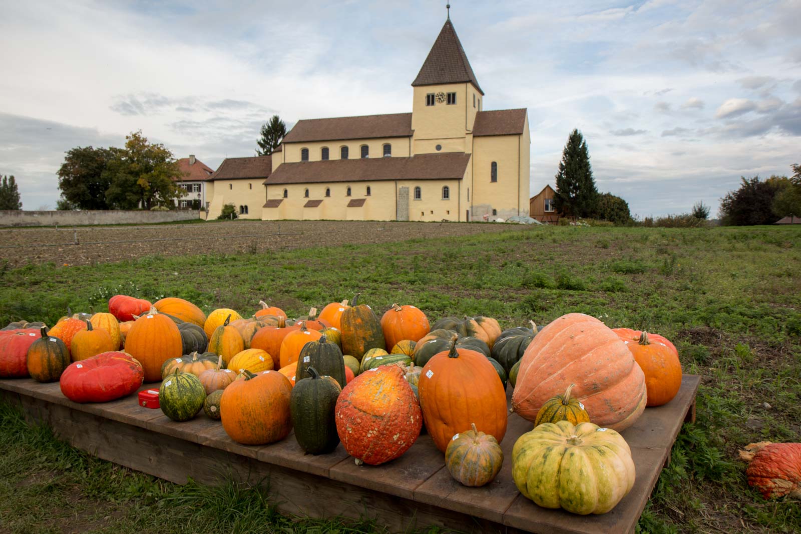 Riechenau Island, Germany