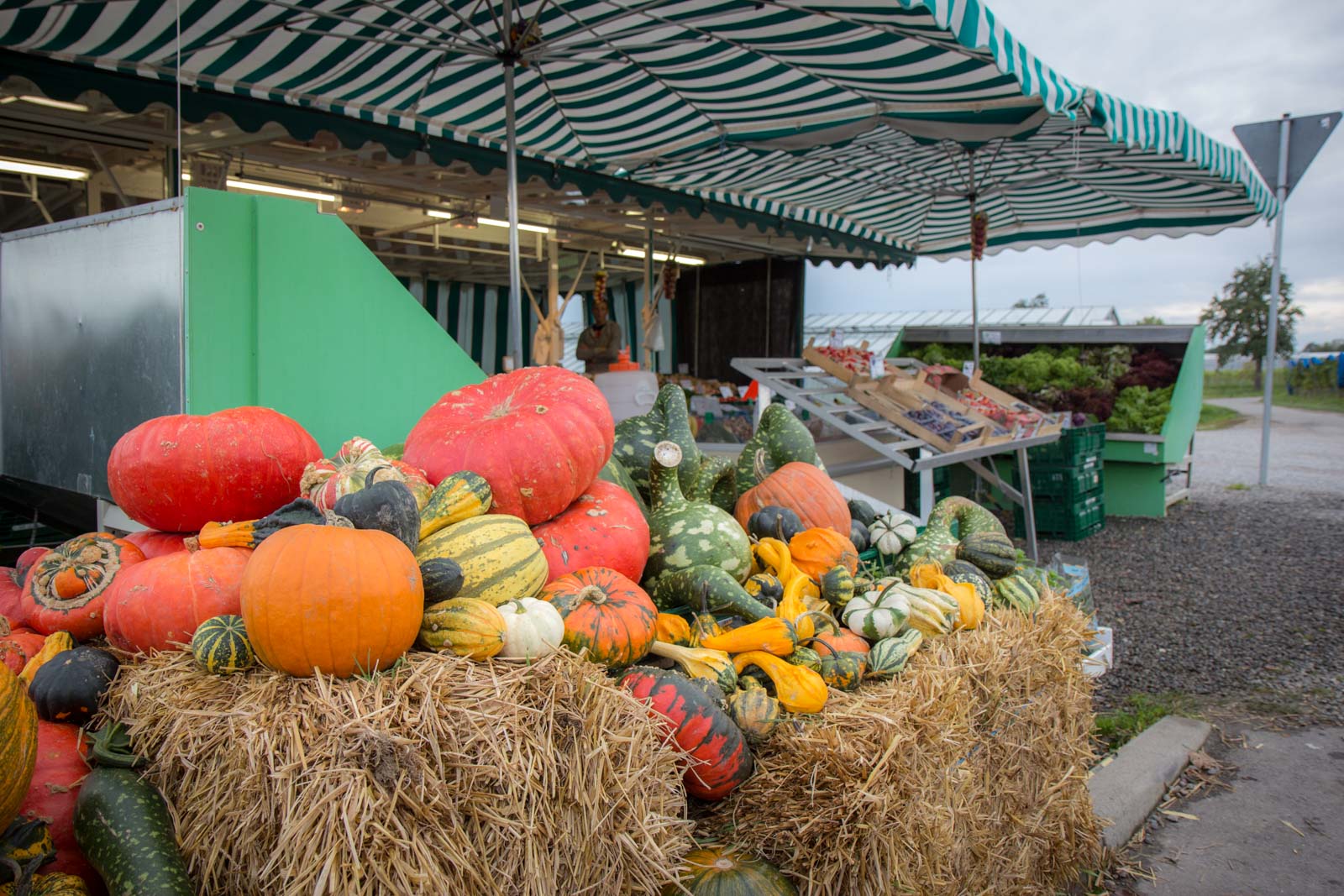 Riechenau Island, Germany