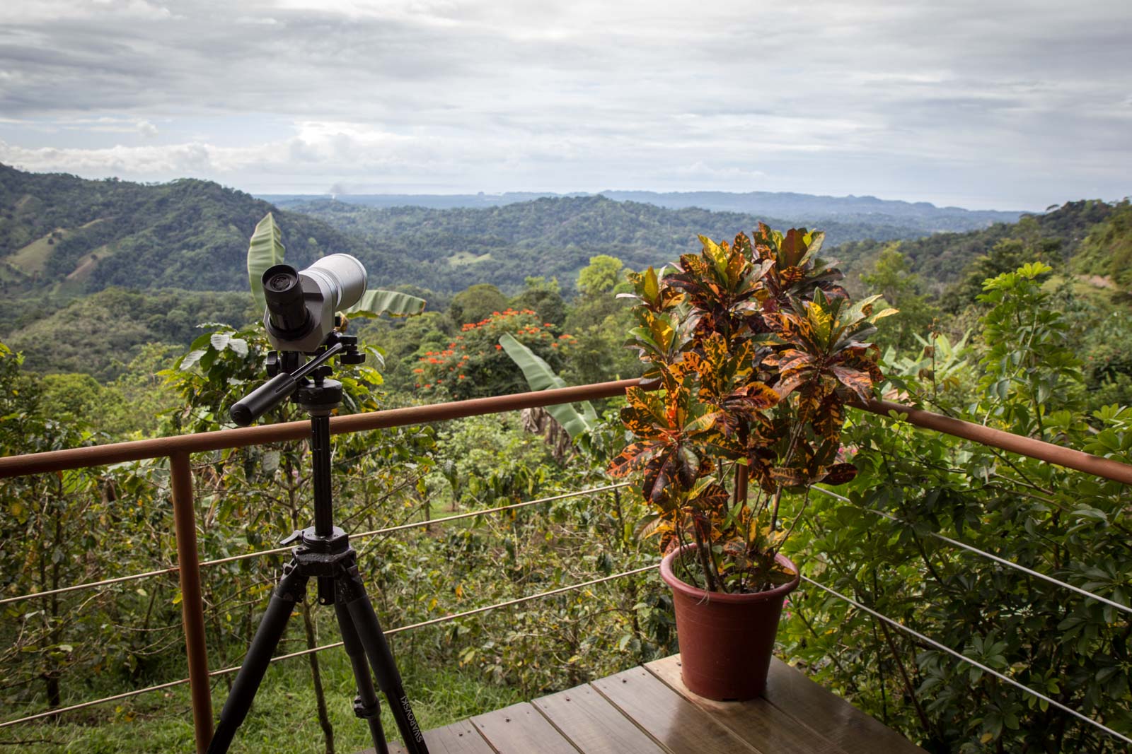 Santa Juana Rural Heritage Tour in Costa Rica