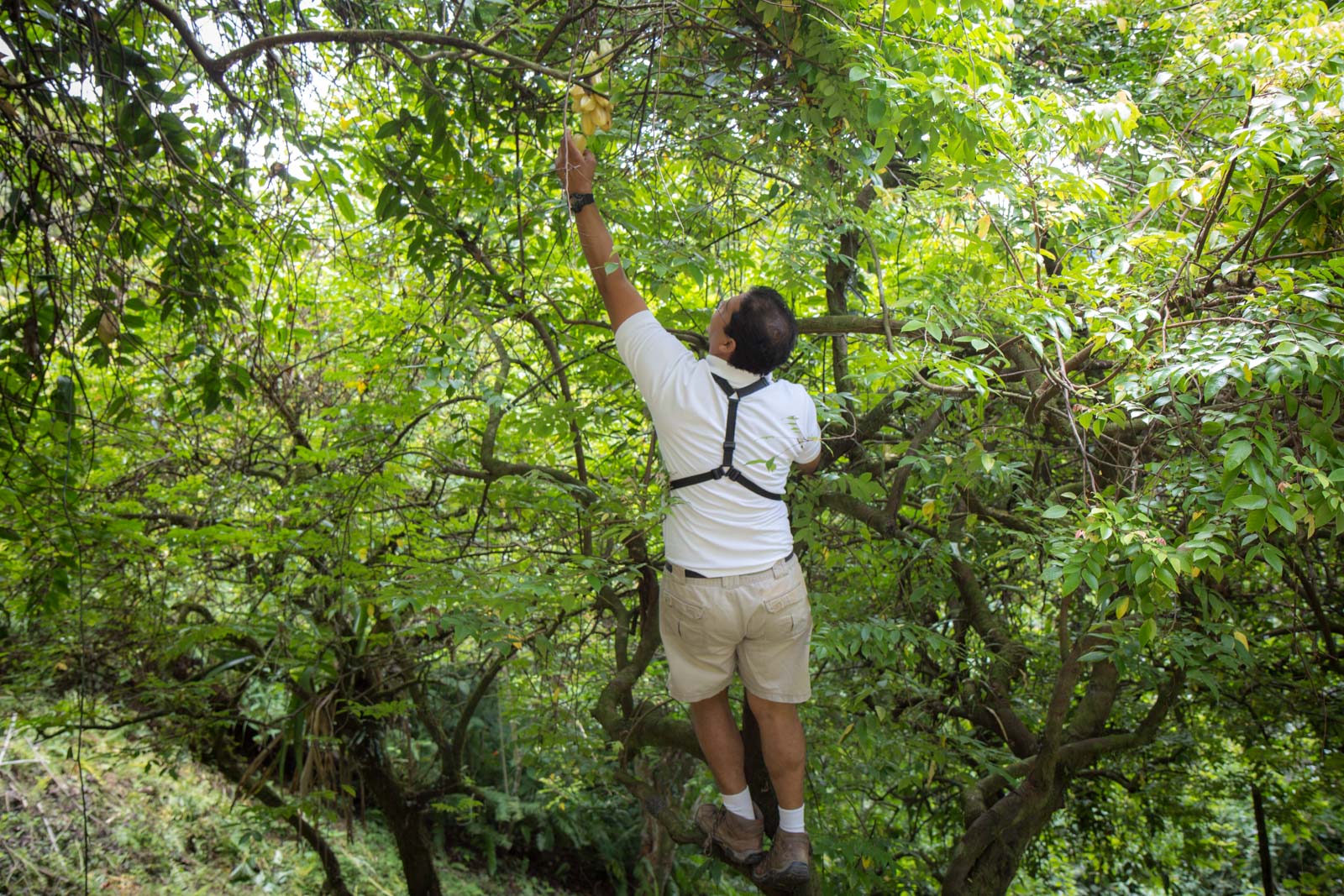 Santa Juana Rural Heritage Tour in Costa Rica