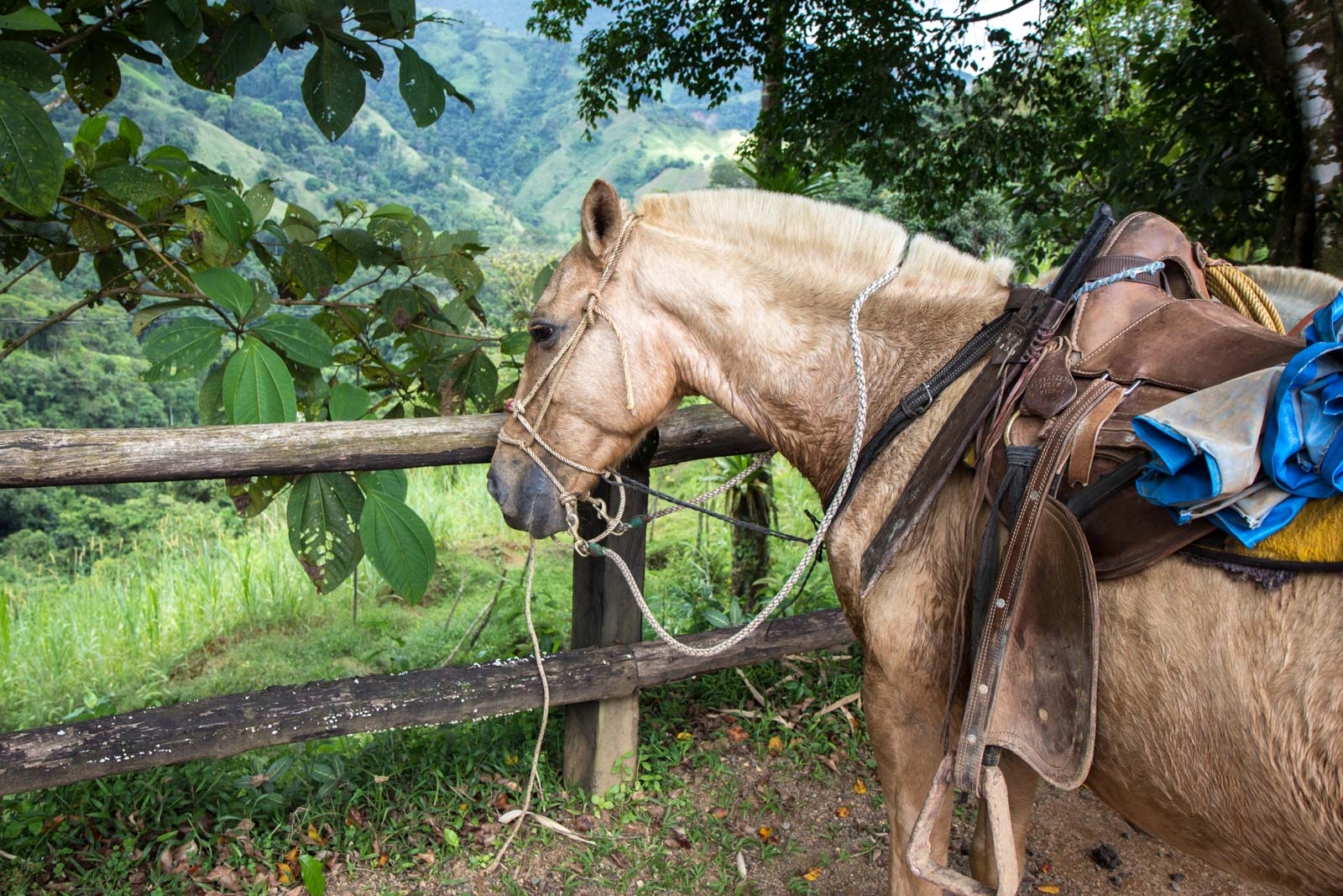 Santa Juana Rural Heritage Tour in Costa Rica