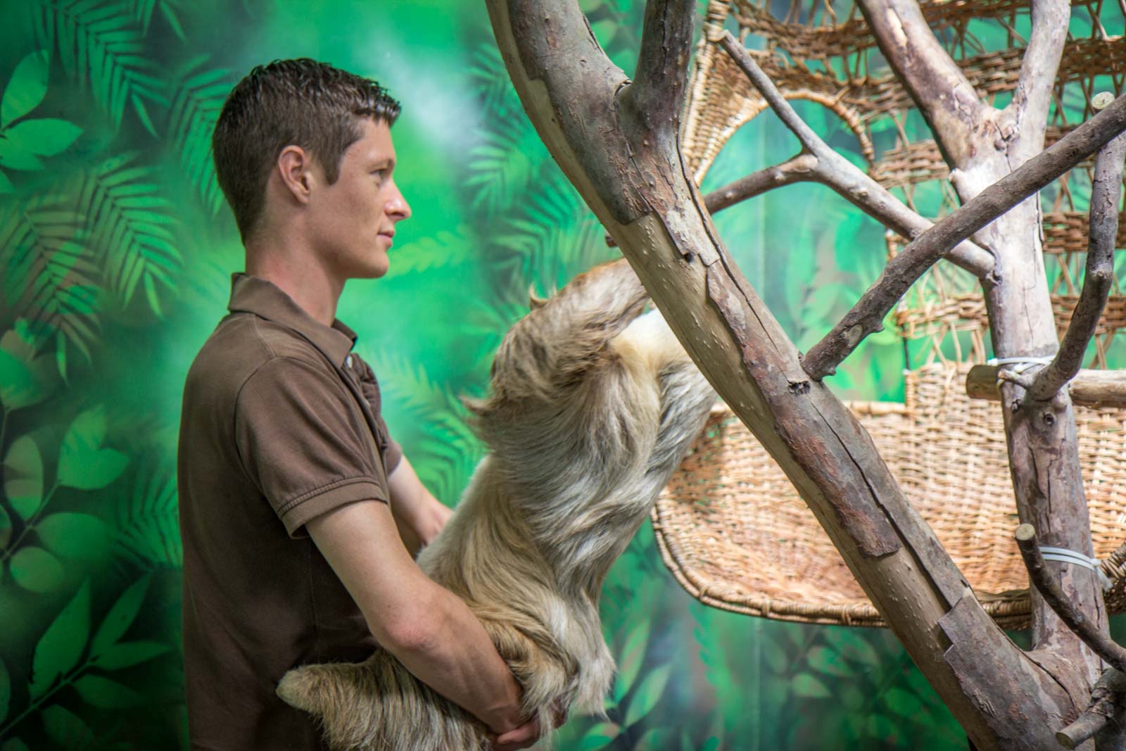 Sloth Sanctuary, Limon, Costa Rica