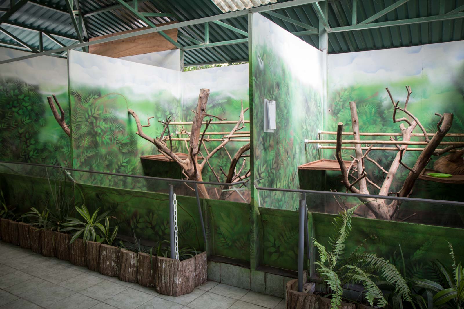 Sloth Sanctuary, Limon, Costa Rica