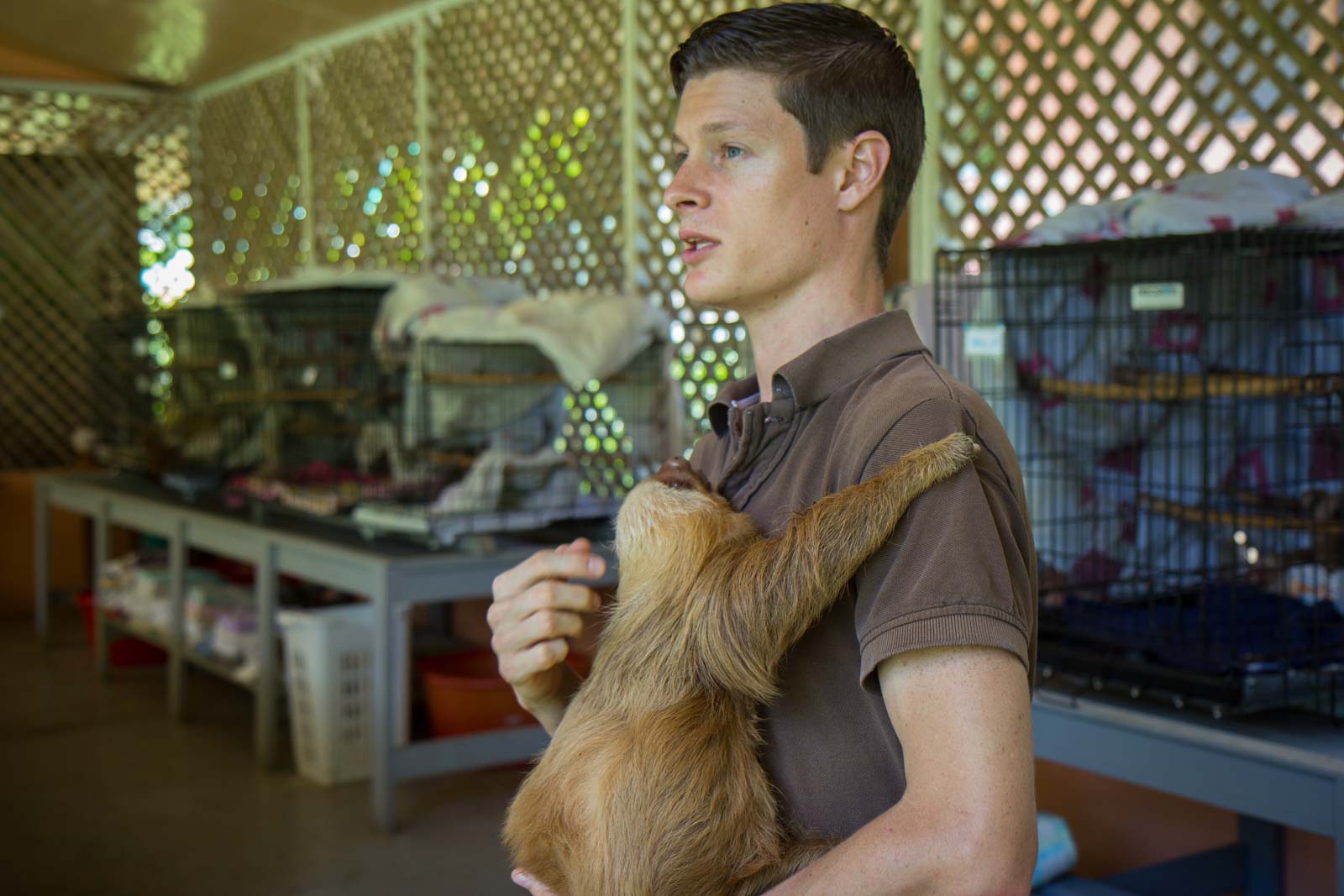 Sloth Sanctuary, Limon, Costa Rica