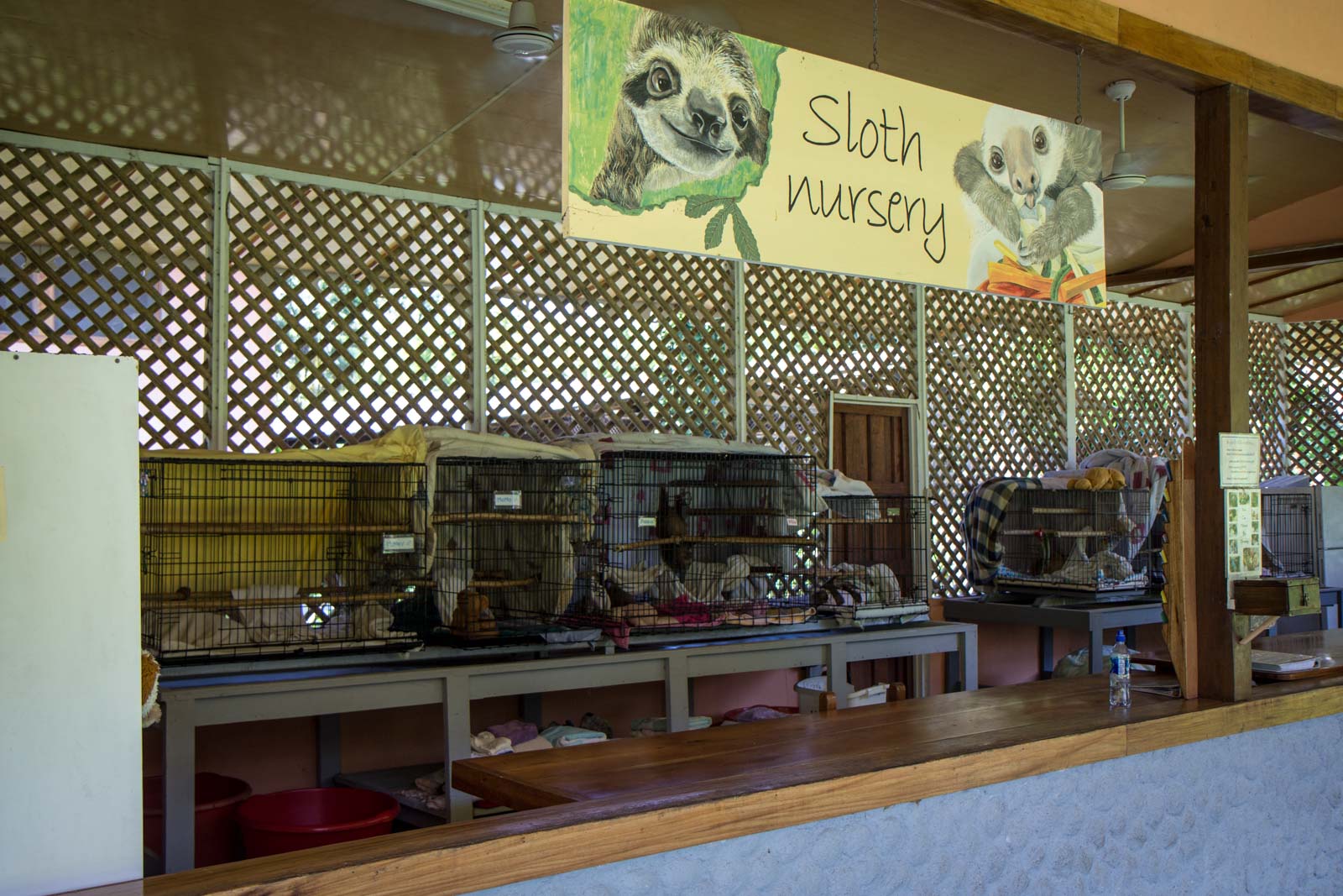 Sloth Sanctuary, Limon, Costa Rica