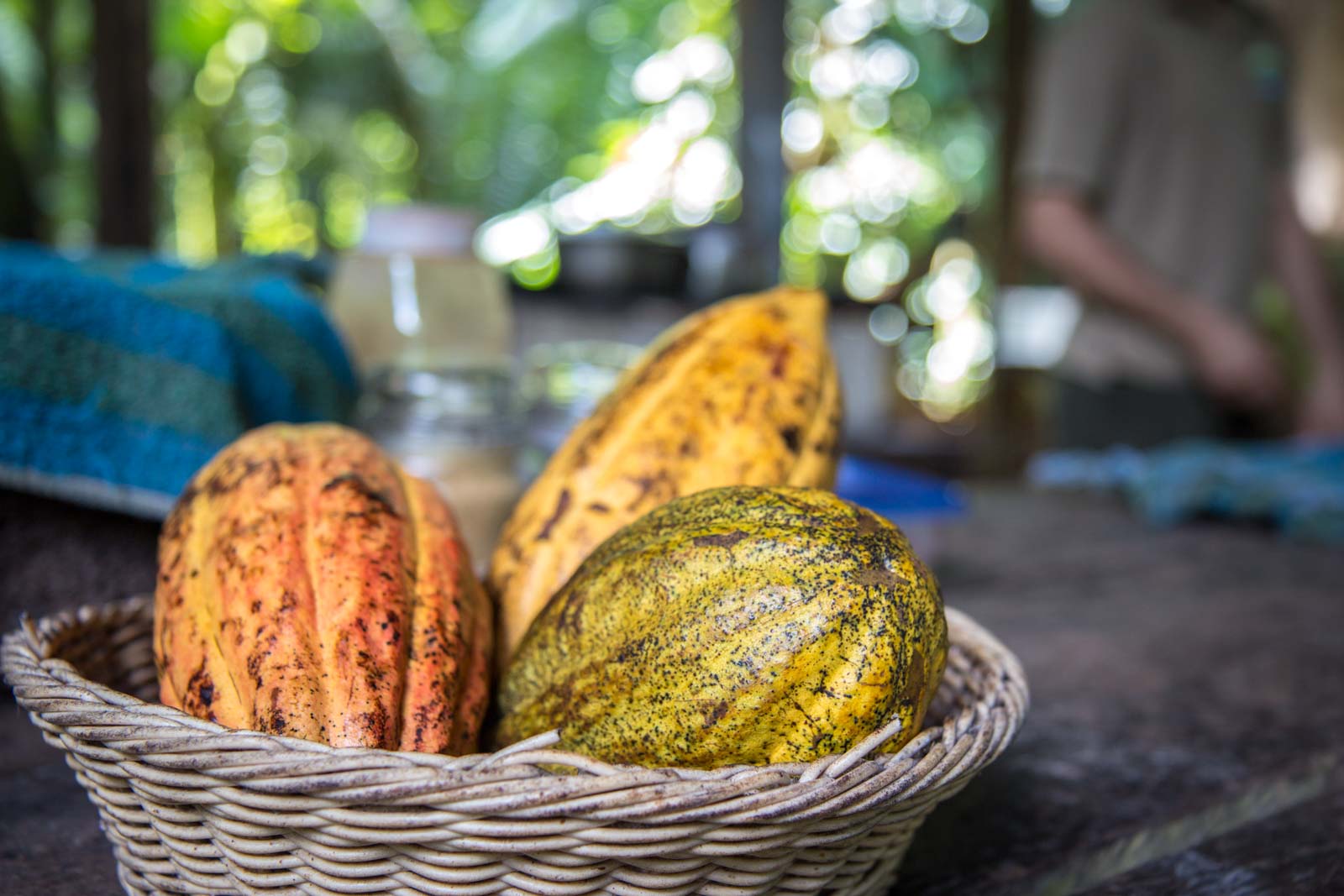 Chocolate Tours In Costa Rica