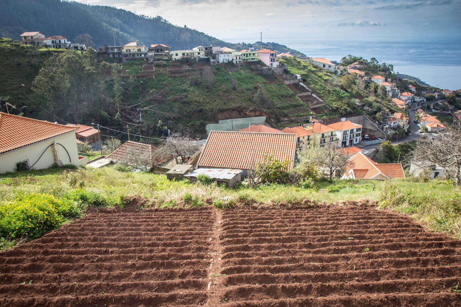 Madeira Photography, Portugal