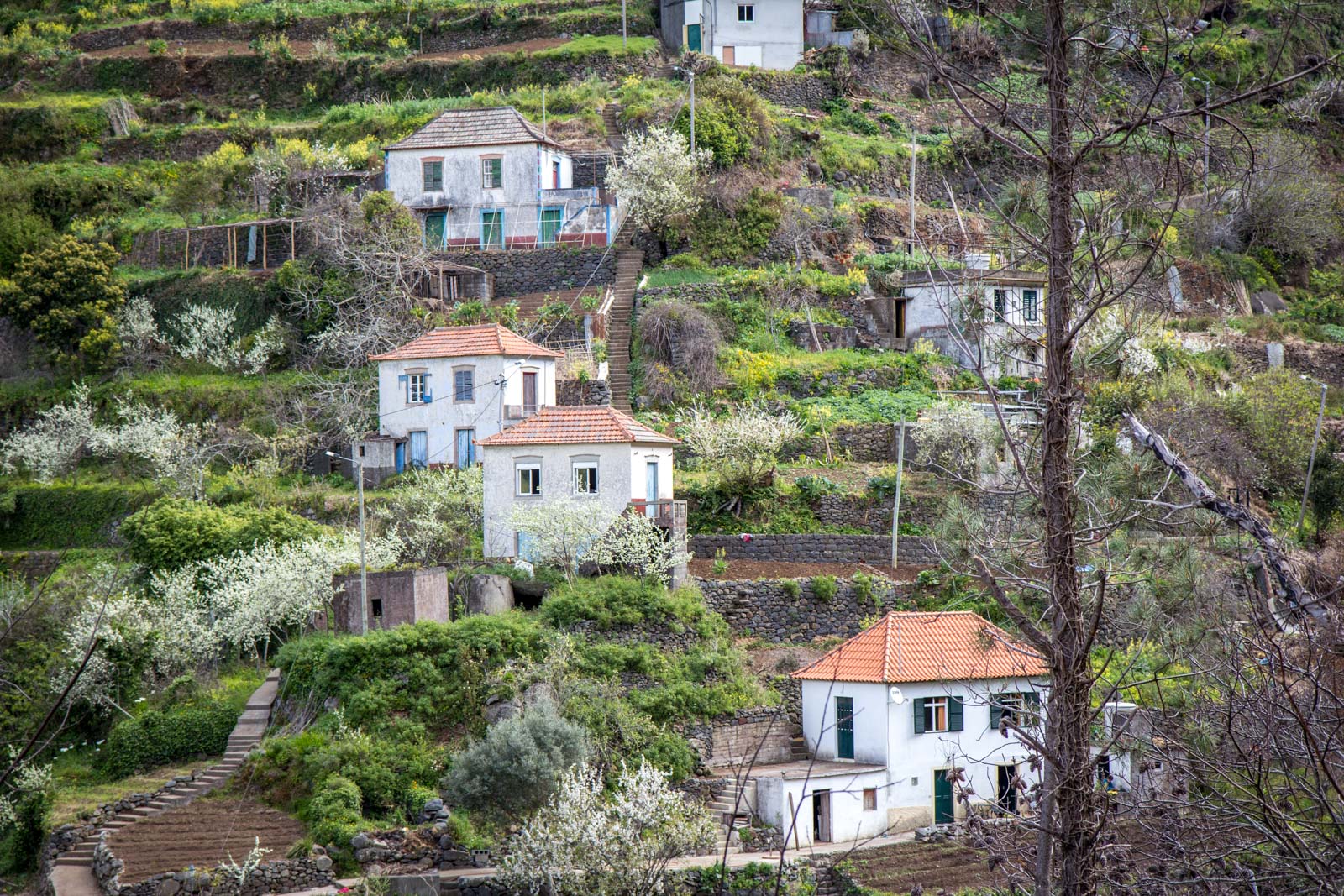Madeira Photography, Portugal
