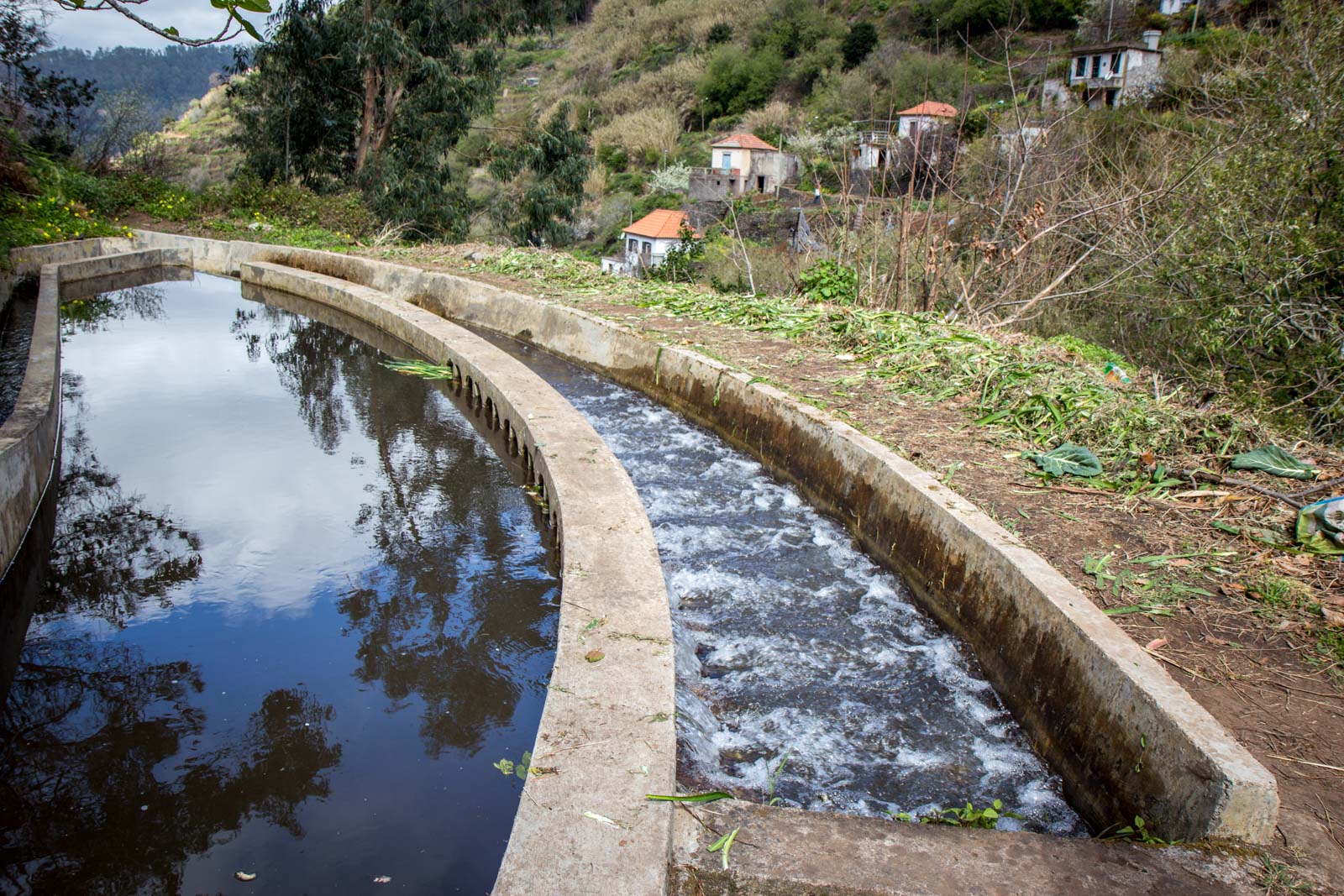 Madeira Photography, Portugal