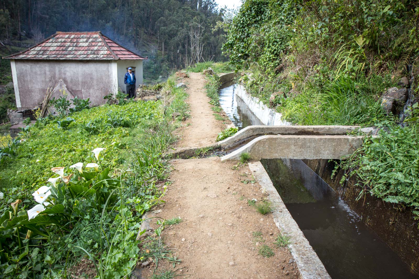Madeira Photography, Portugal