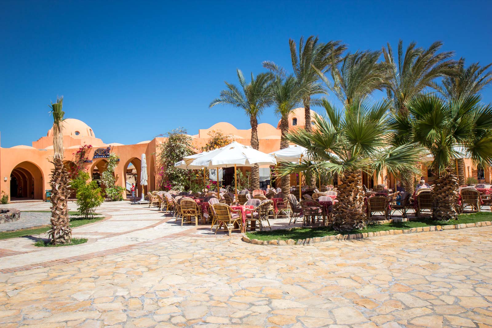 Living as an expat at El Gouna, Red Sea, Egypt