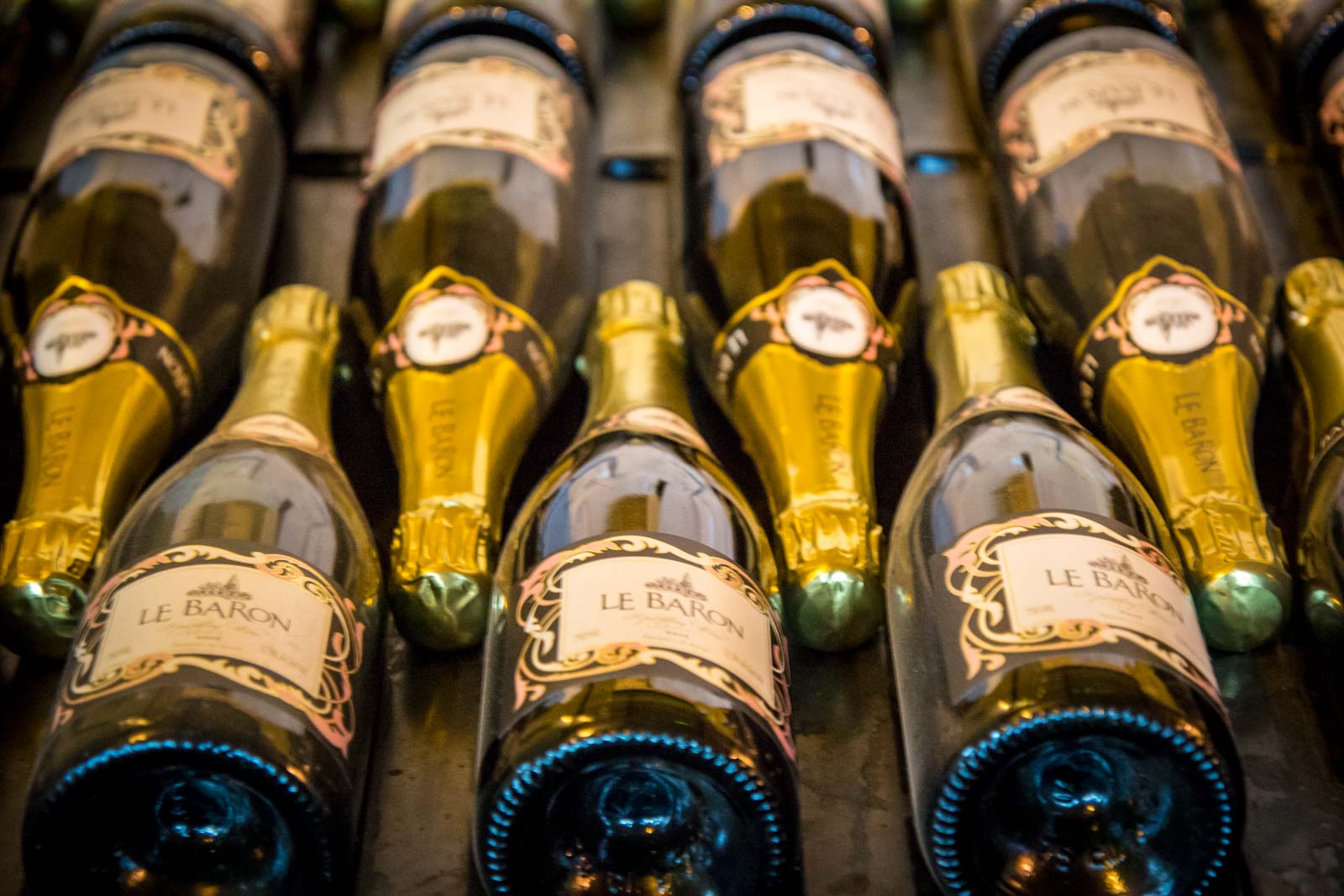 Winemaking in Egypt at El Gouna's winery