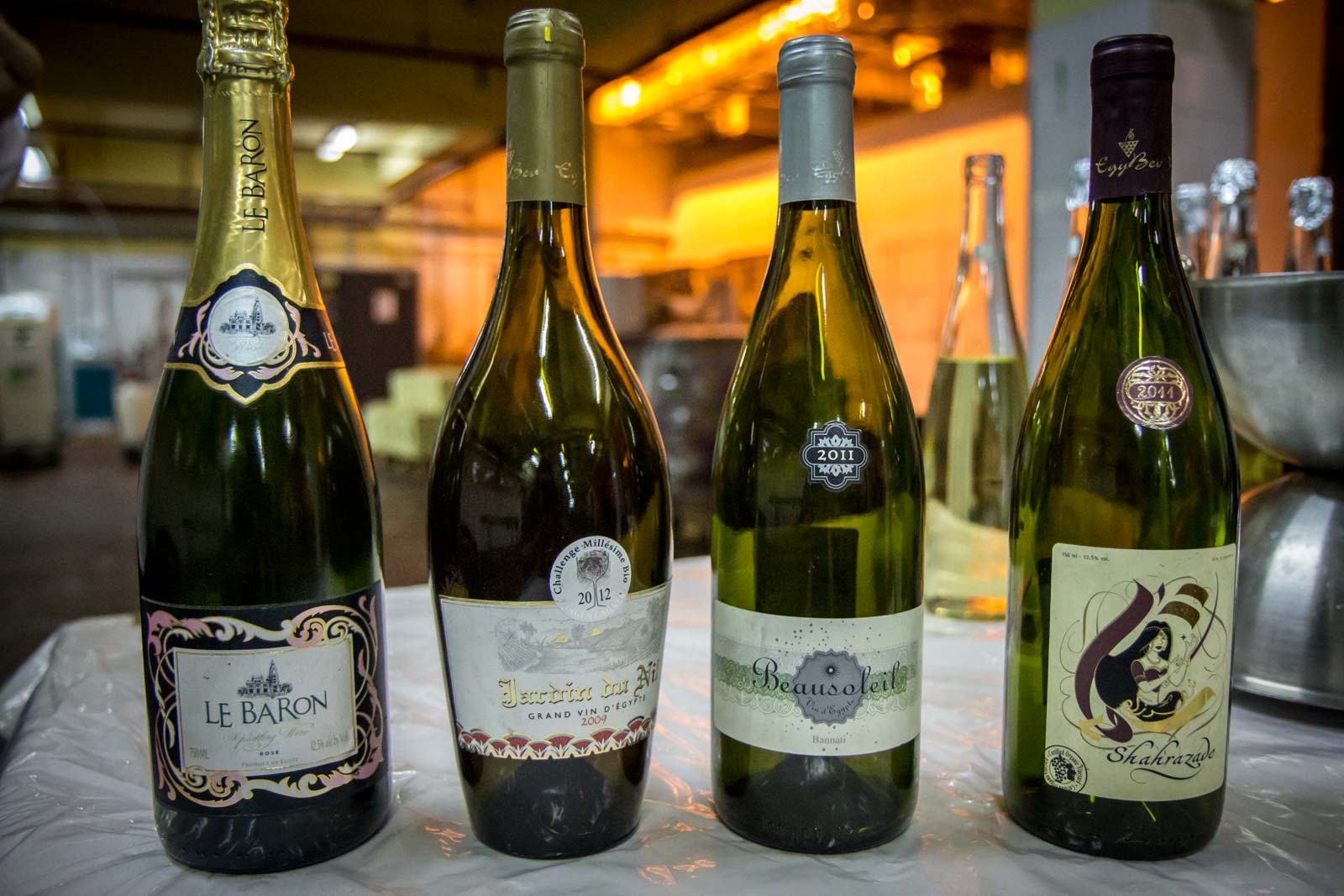 Winemaking in Egypt at El Gouna's winery