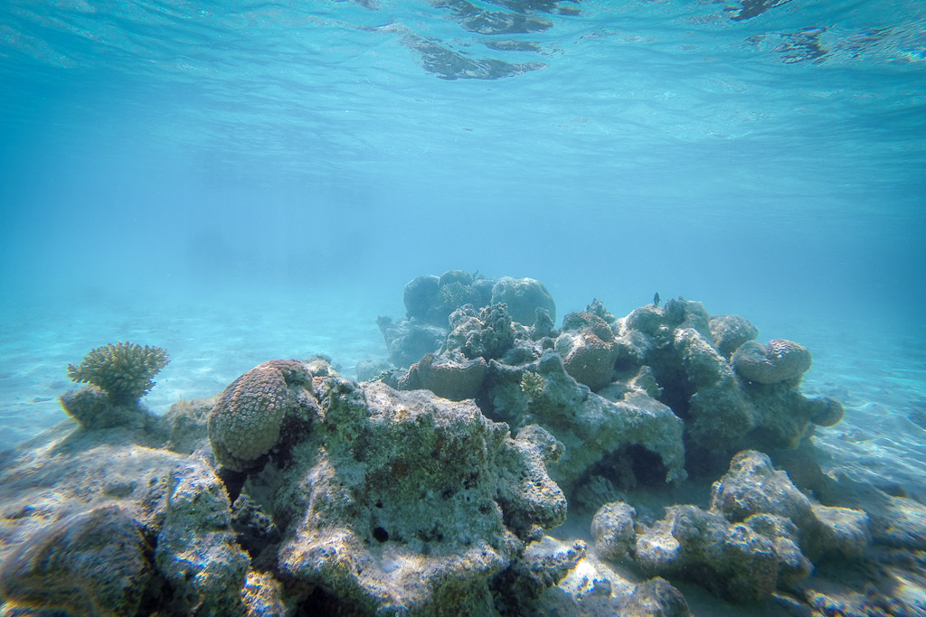 Diving at El Gouna, Red Sea, Egypt