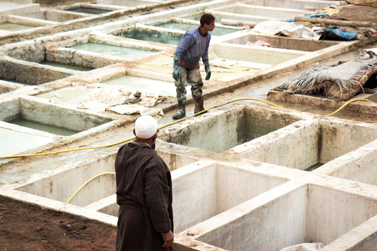 The tanneries, Marrakech, Morocco