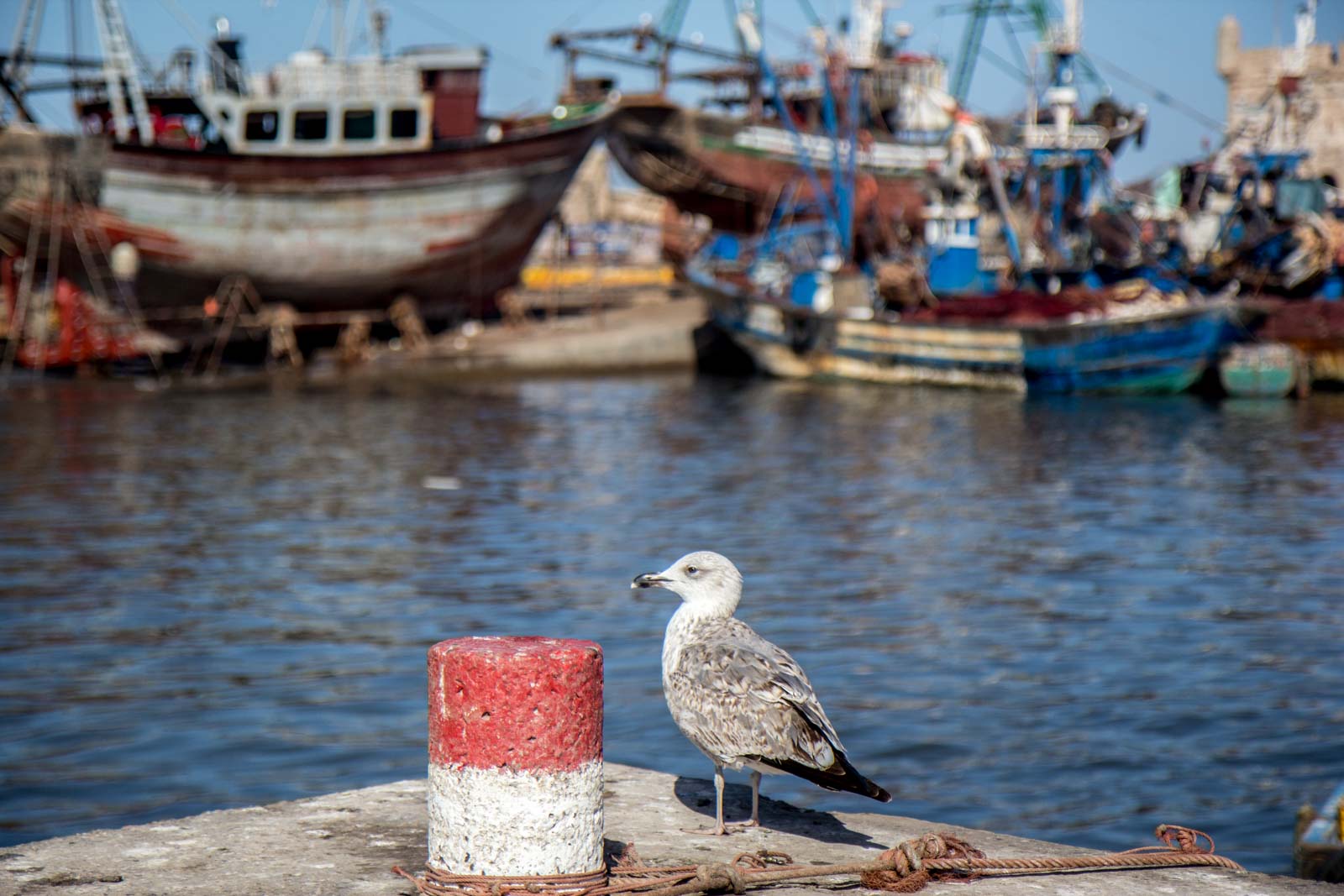 Essaouira Port, Morocco