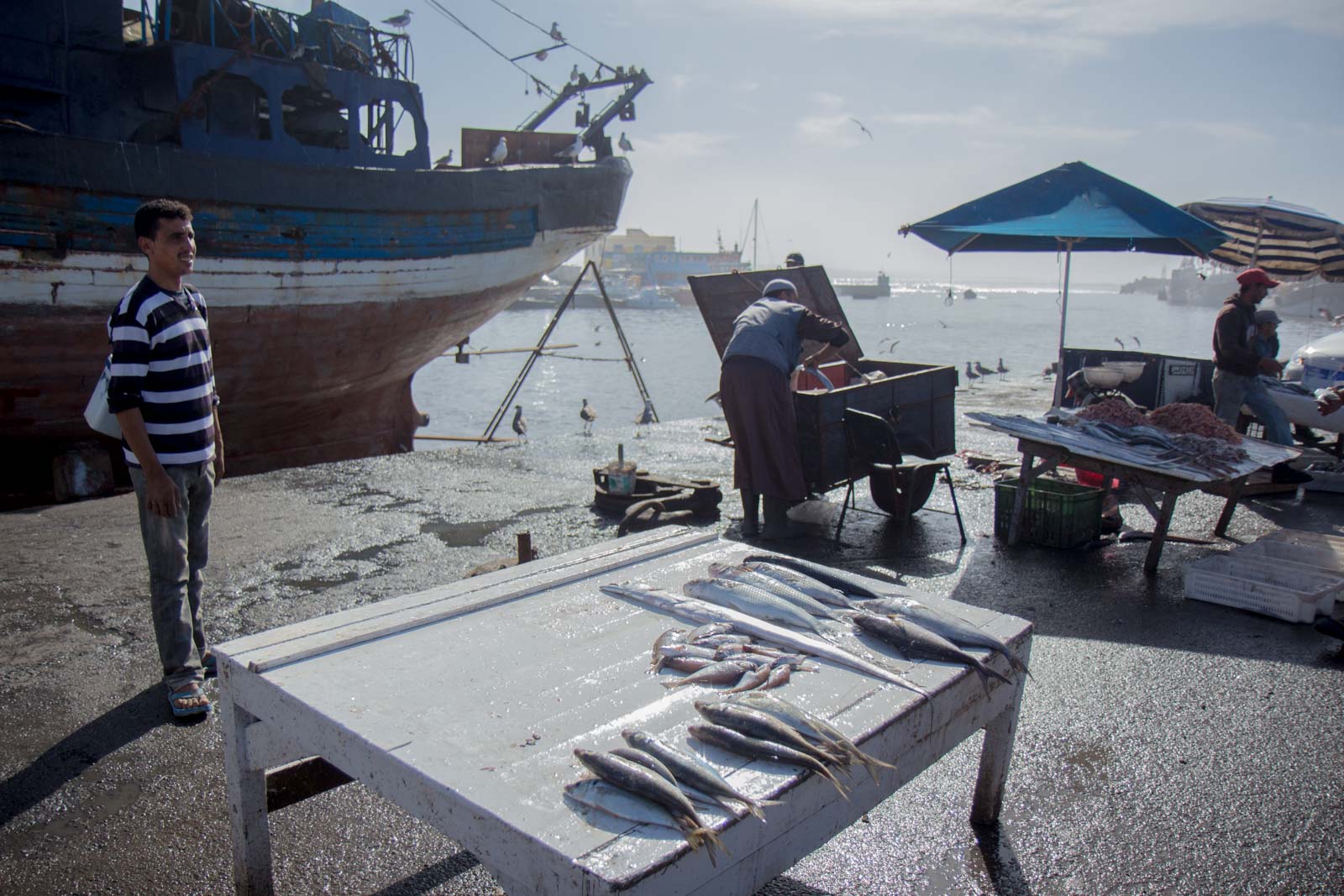 Essaouira Port, Morocco