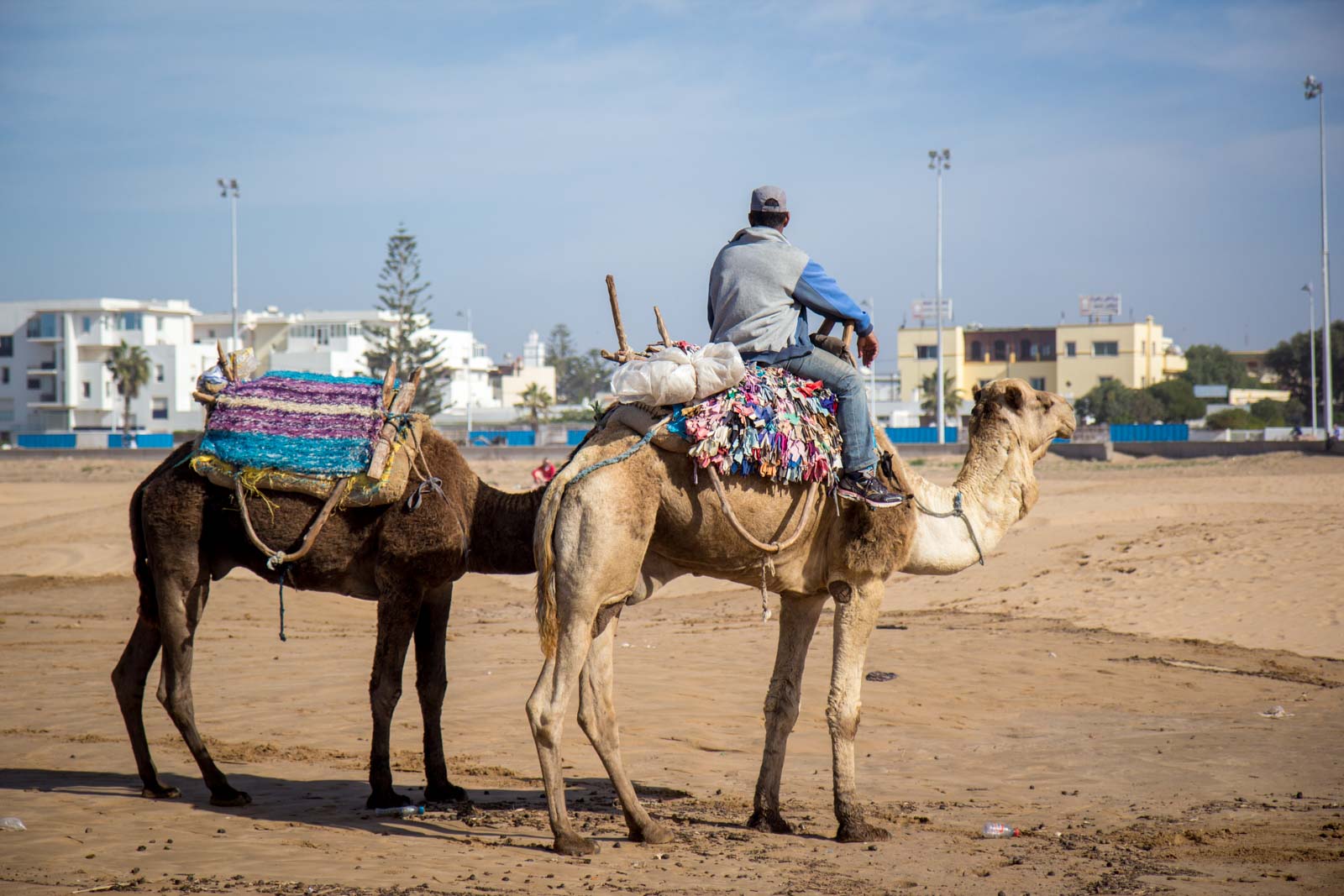 Essaouira Medina (Mogador), Morocco