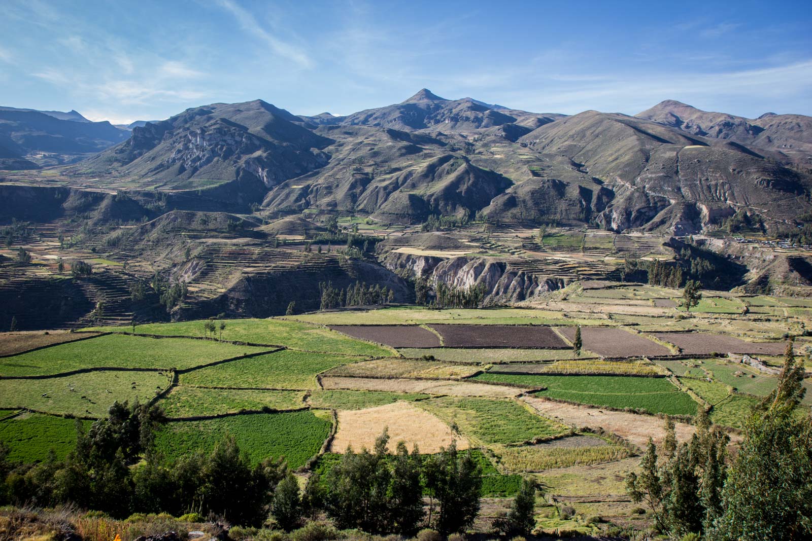 Visiting Colca Canyon, Peru
