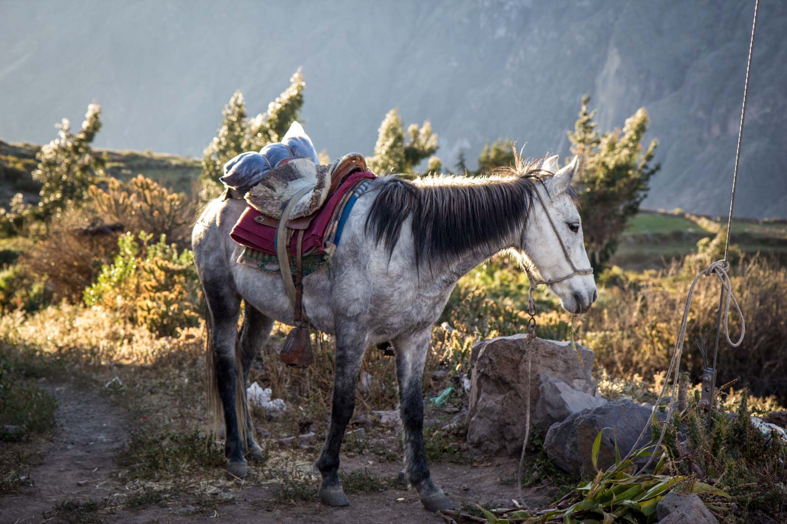 Visiting Colca Canyon, Peru
