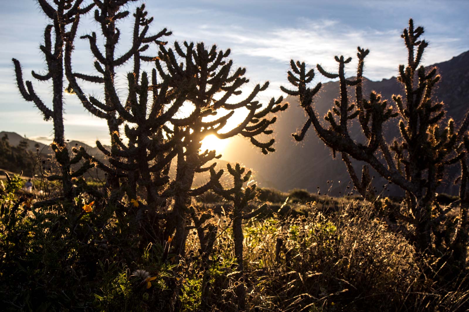 Visiting Colca Canyon, Peru