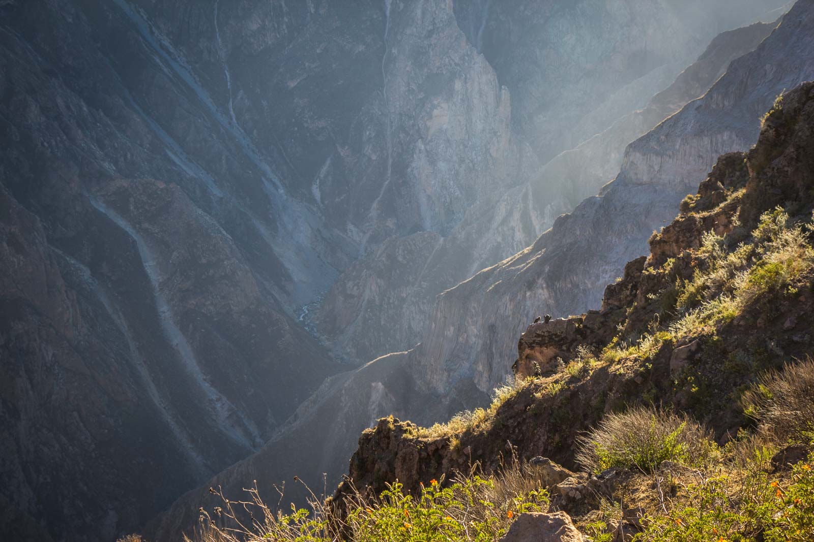 Visiting Colca Canyon, Peru