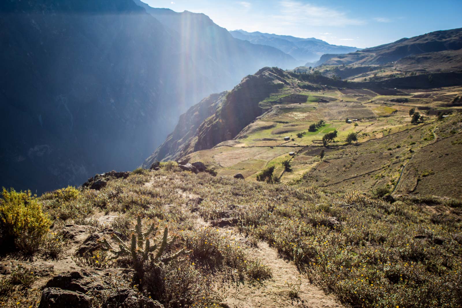 Visiting Colca Canyon, Peru