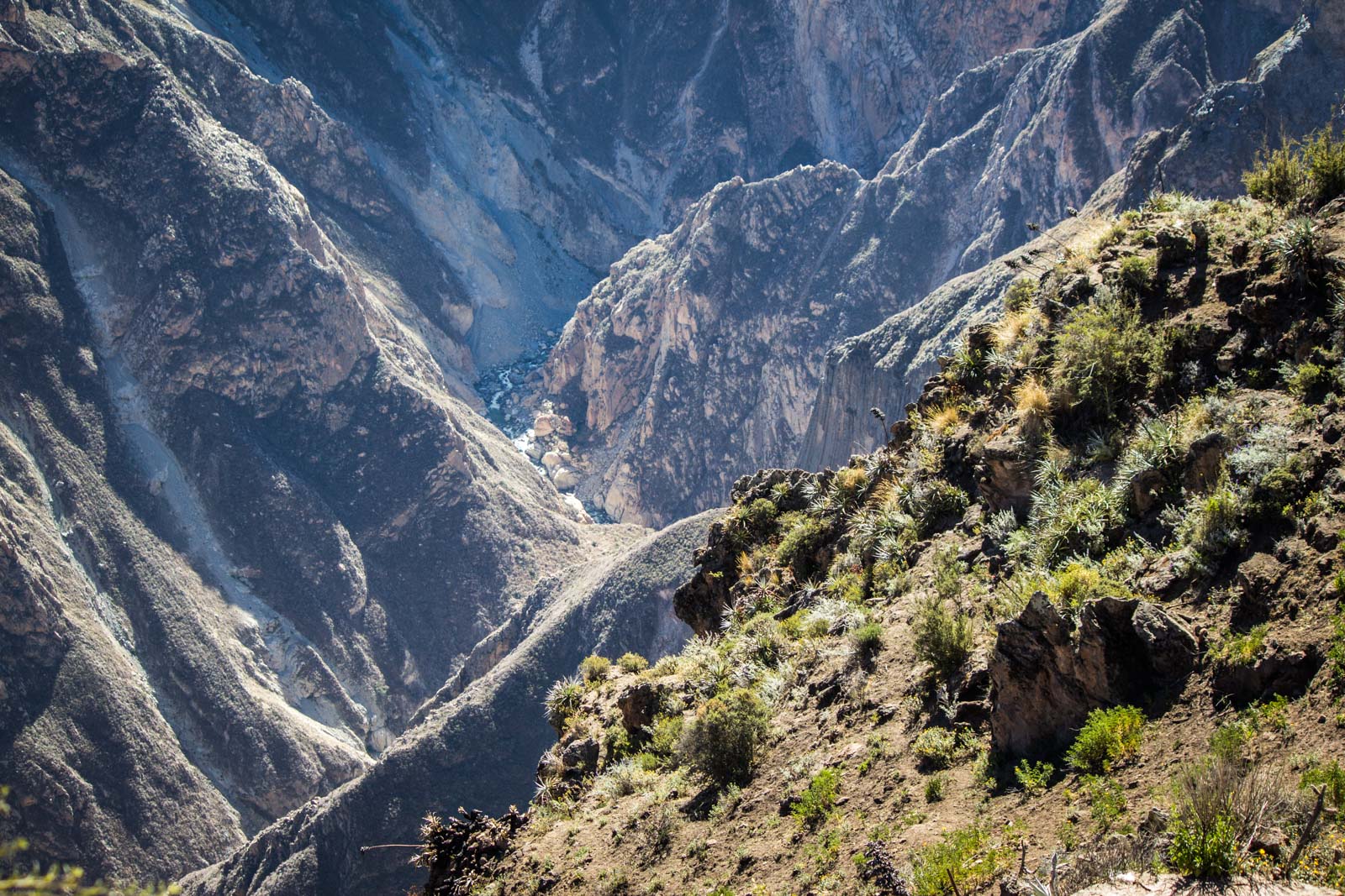 Visiting Colca Canyon, Peru