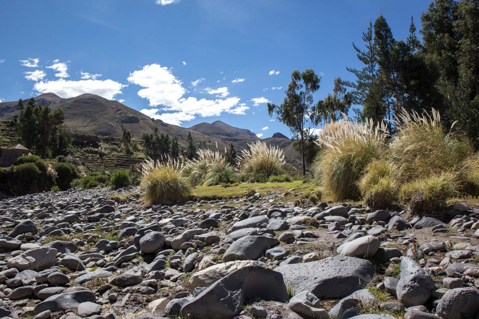 Visiting Colca Canyon, Peru