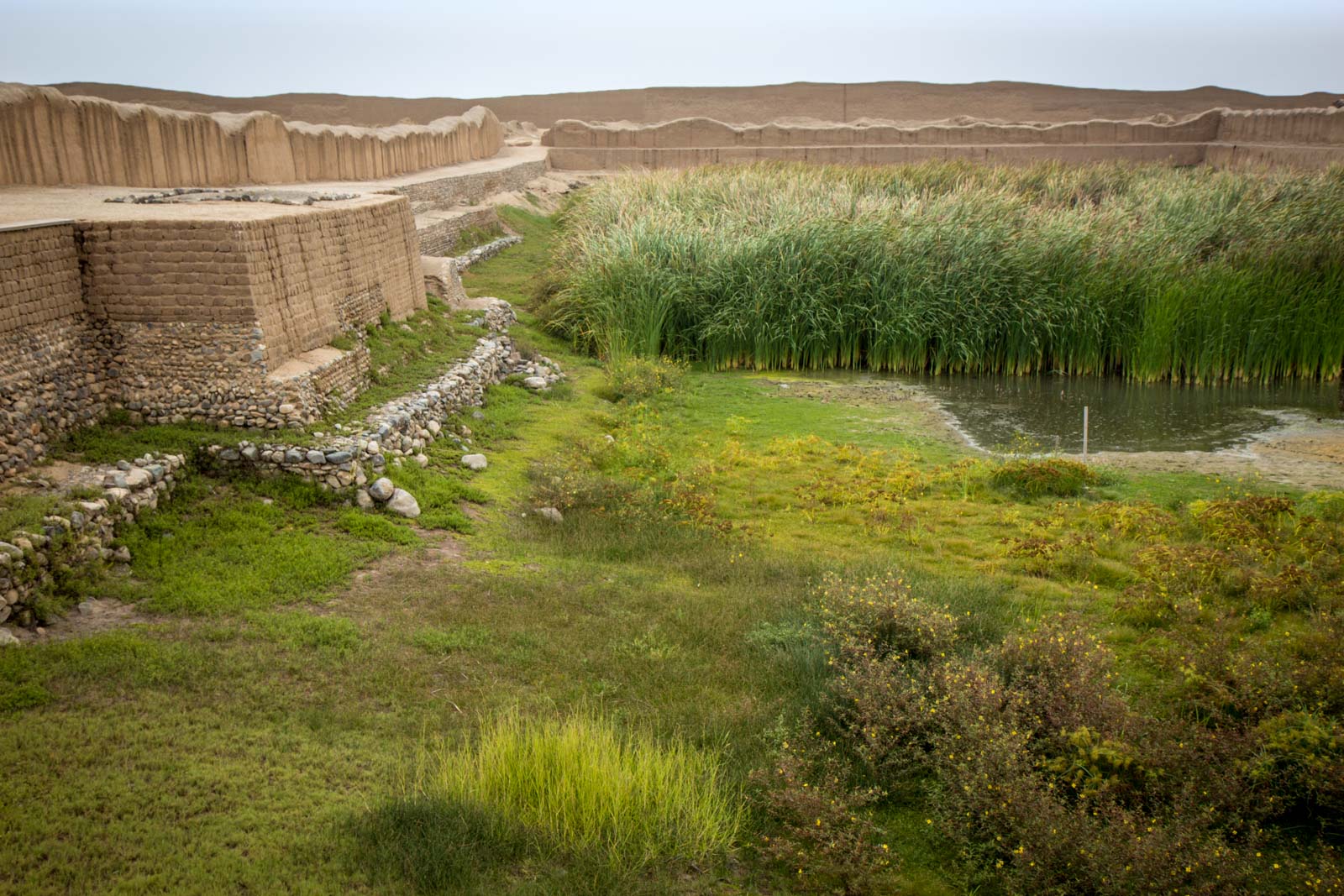 Chan Chan Archaeological Zone, Trujillo, Peru
