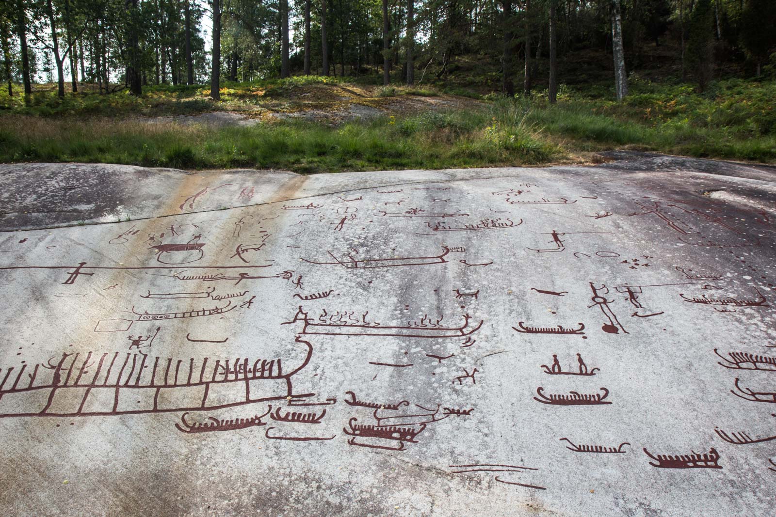 Rock Carvings in Tanum