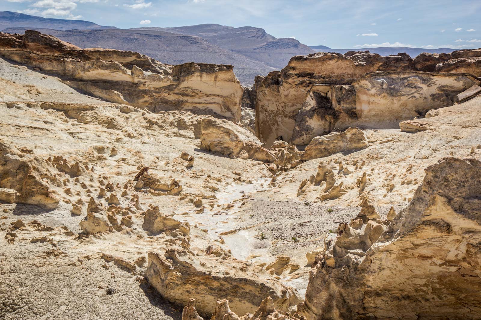 Salinas and Aguada Blanca National Reservation, Peru