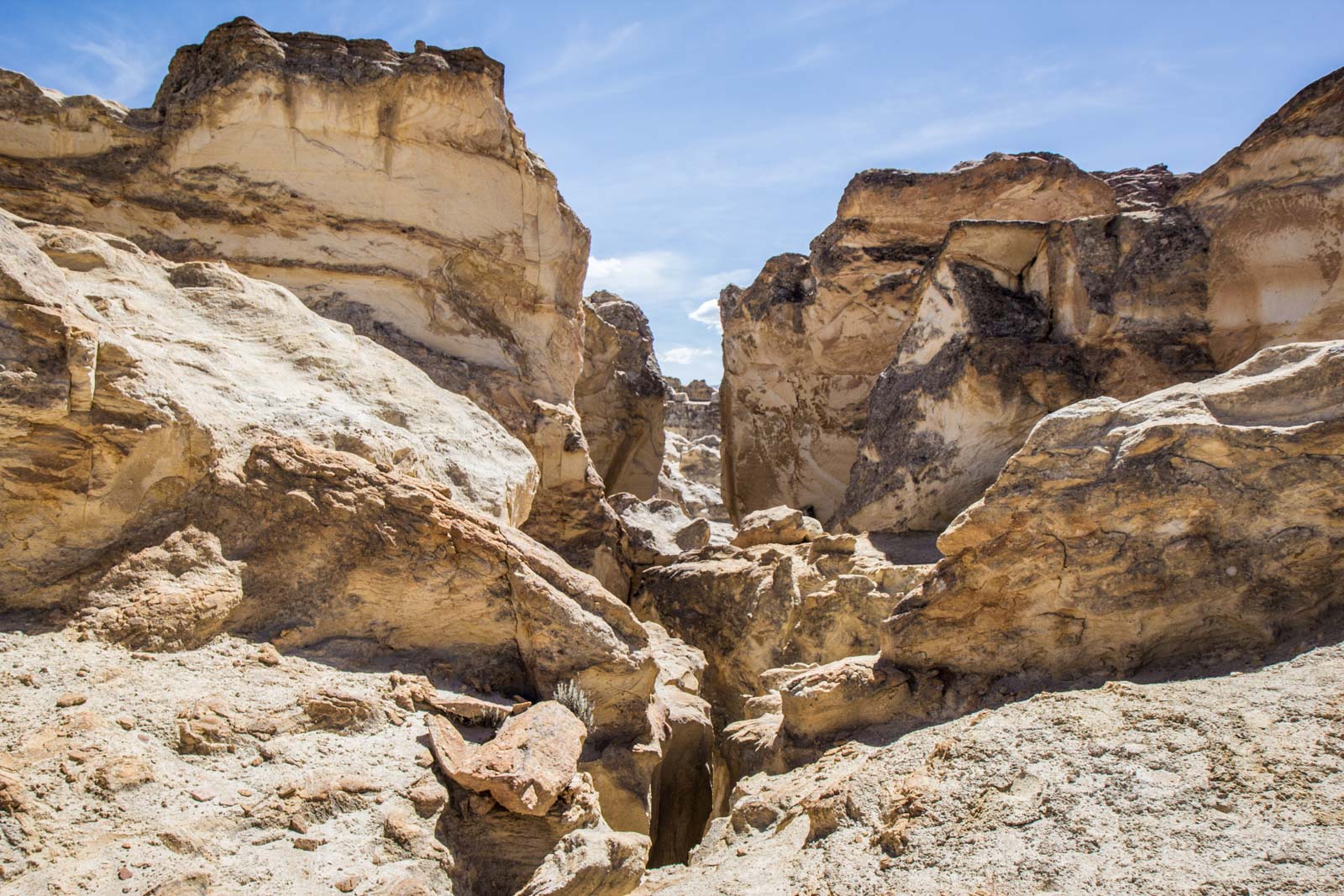 Salinas and Aguada Blanca National Reservation, Peru