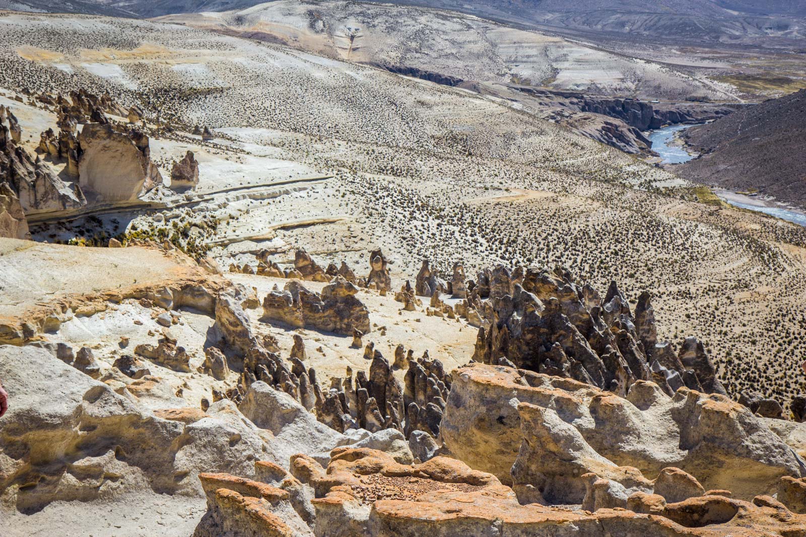 Salinas and Aguada Blanca National Reservation, Peru