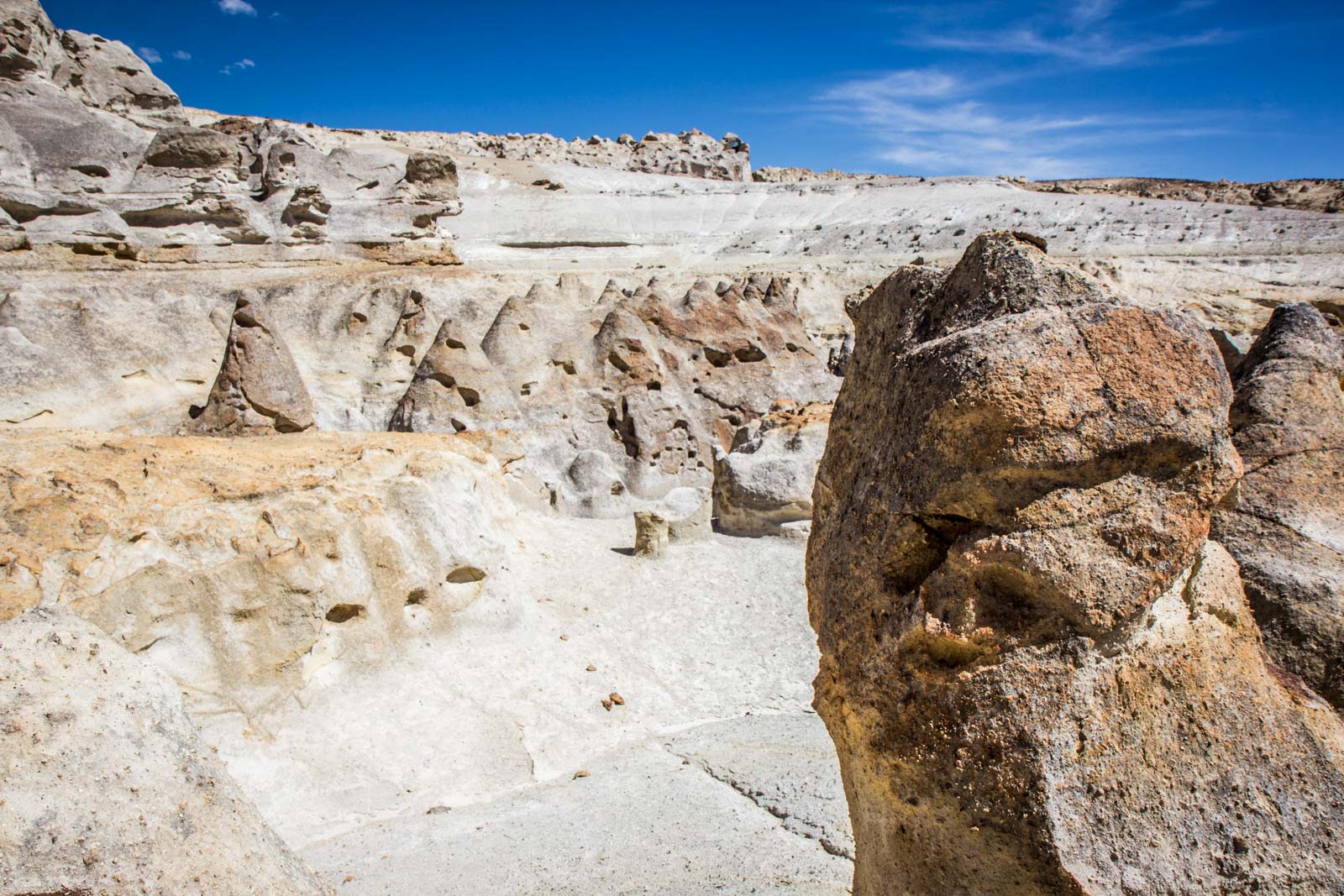 Salinas and Aguada Blanca National Reservation, Peru