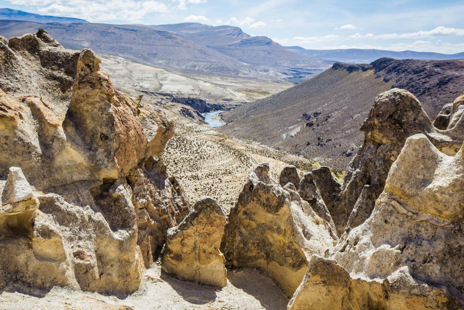 Salinas and Aguada Blanca National Reservation, Peru
