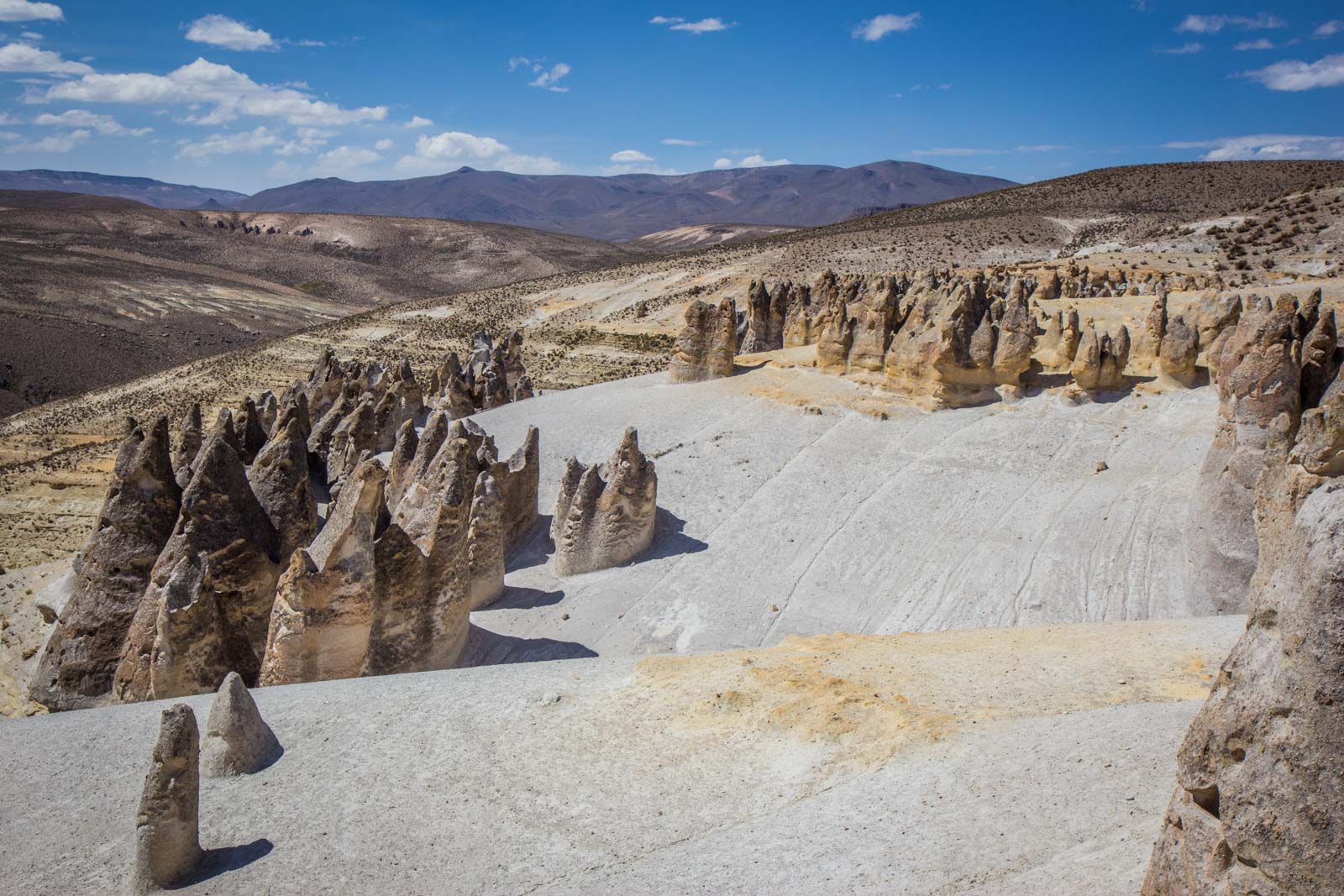 Salinas and Aguada Blanca National Reservation, Peru