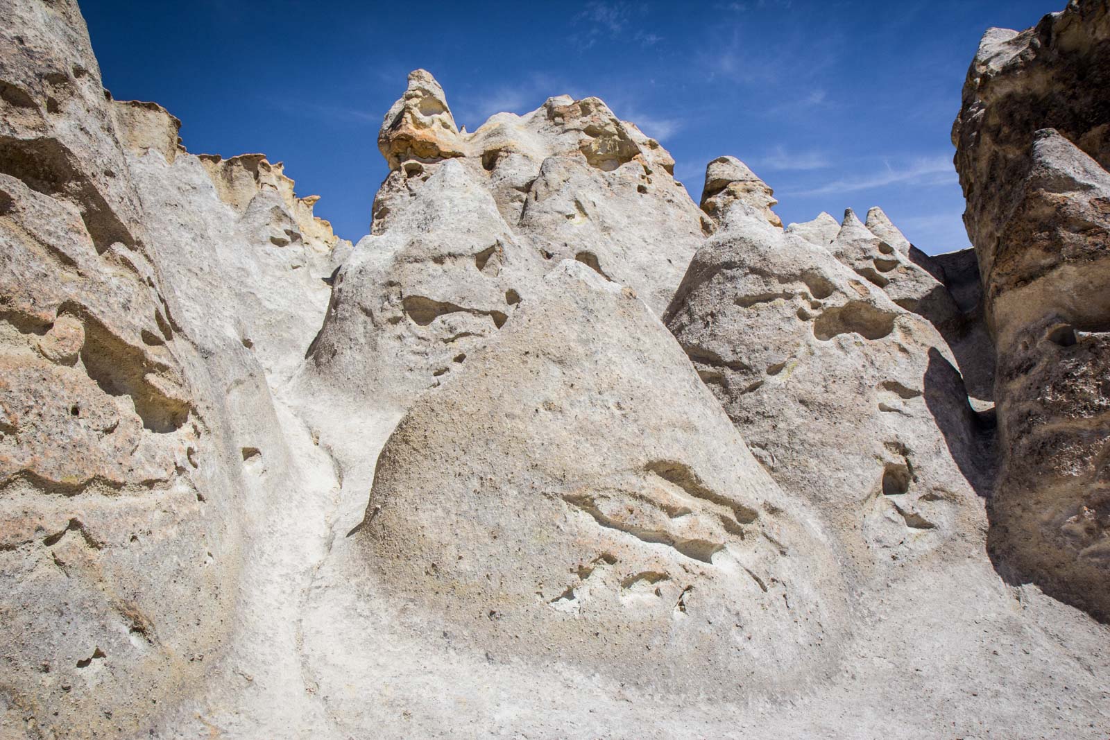 Salinas and Aguada Blanca National Reservation, Peru