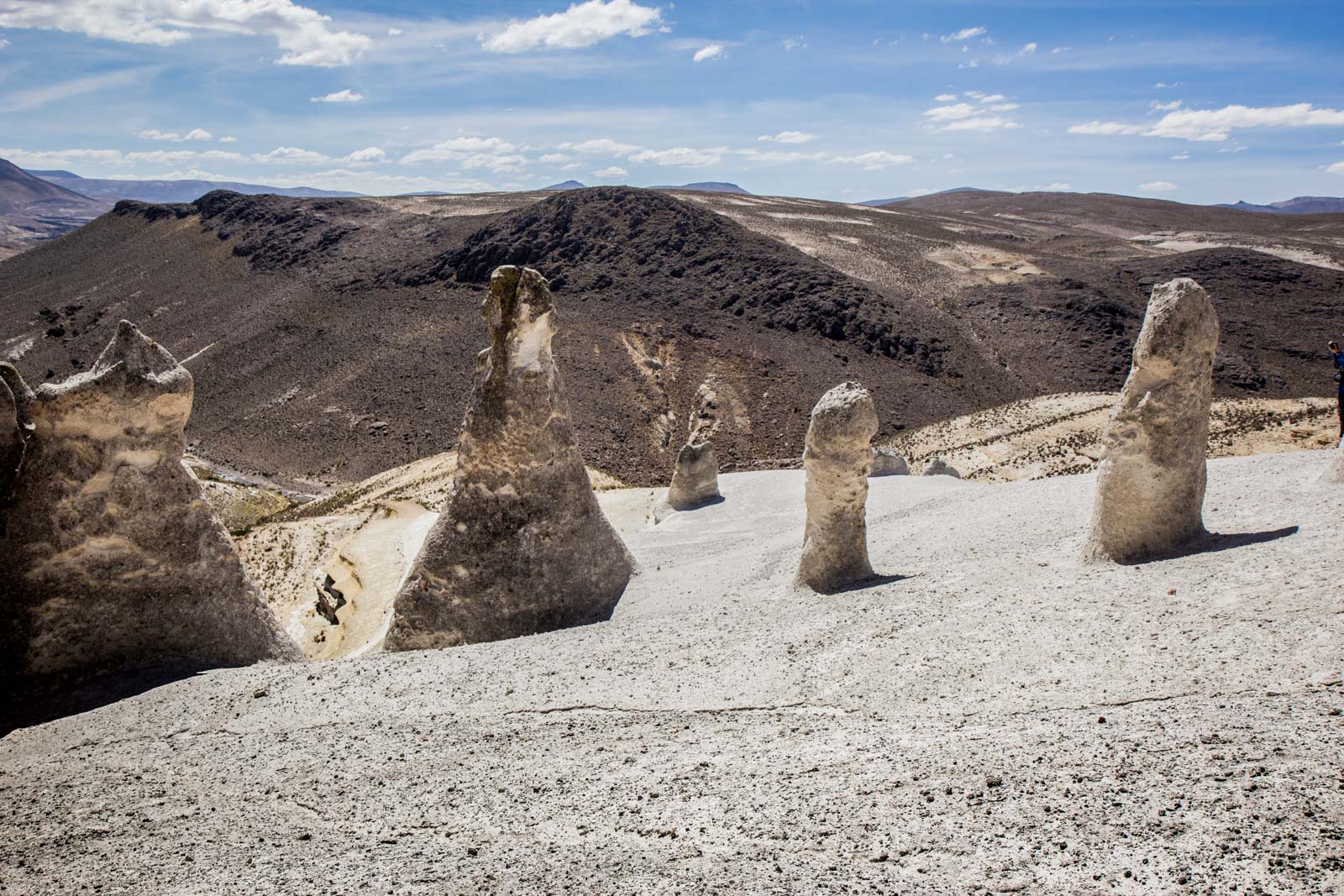 Salinas and Aguada Blanca National Reservation, Peru