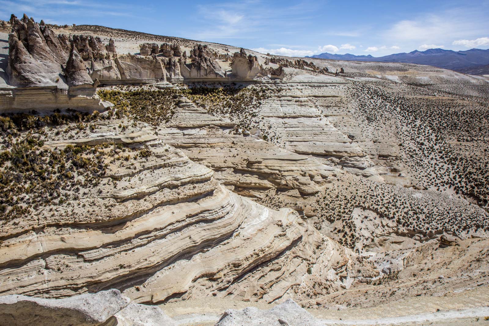 Salinas and Aguada Blanca National Reservation, Peru