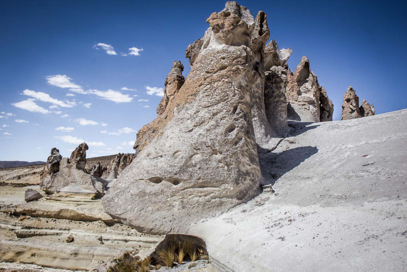 Salinas and Aguada Blanca National Reservation, Peru