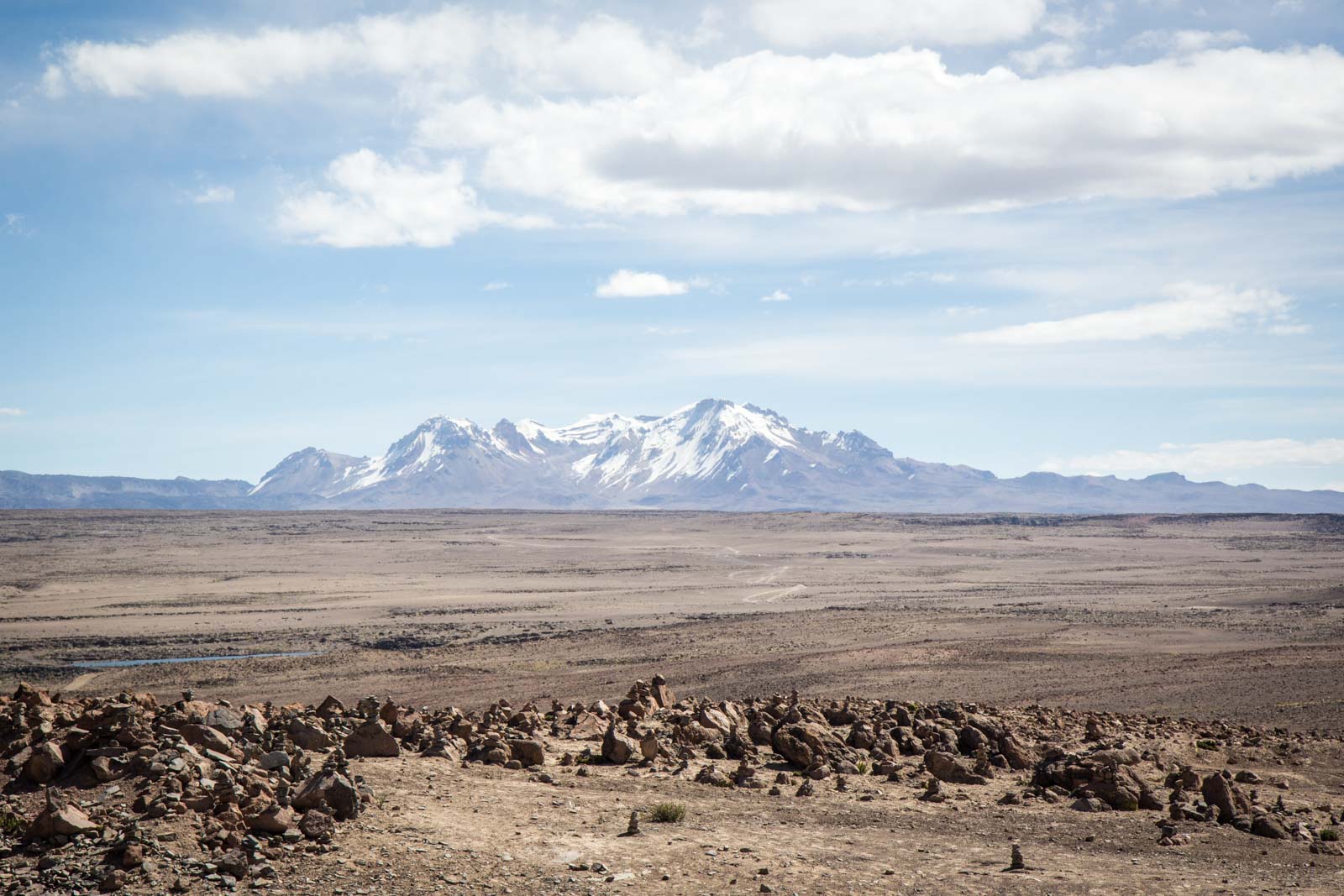Salinas and Aguada Blanca National Reservation, Peru