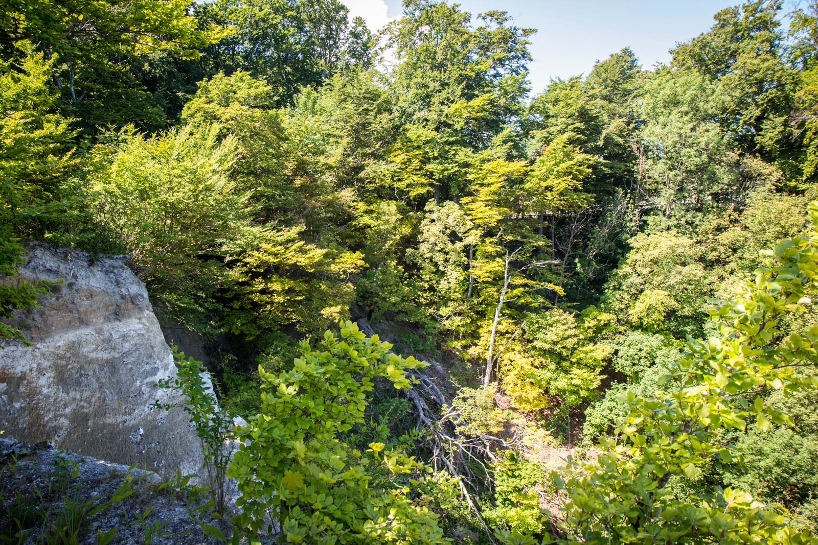 Jasmund National Park, Ancient Beech Forests of Germany