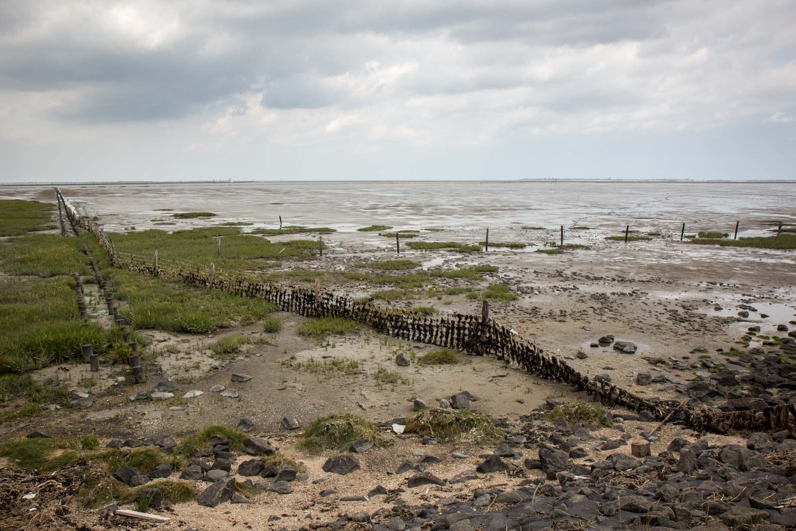 Wadden Sea, Norden, Germany