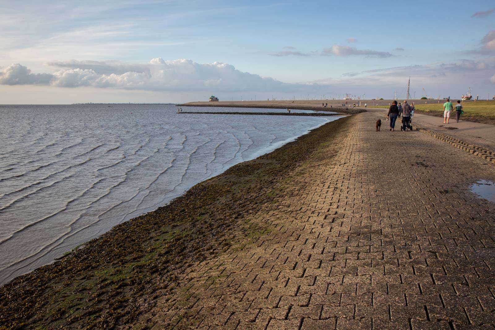 Wadden Sea, Norden, Germany
