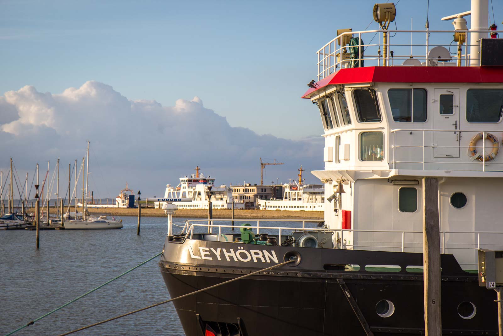 Wadden Sea, Norden, Germany