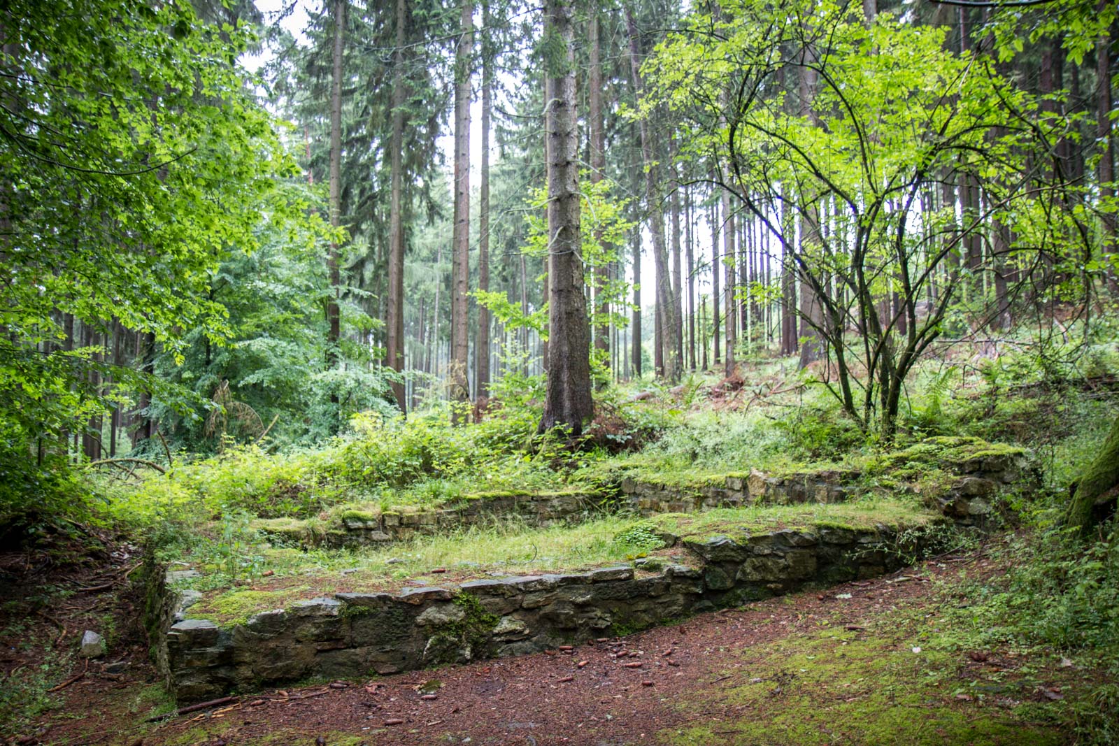 Saalburg Fort, Bad Homburg, Germany