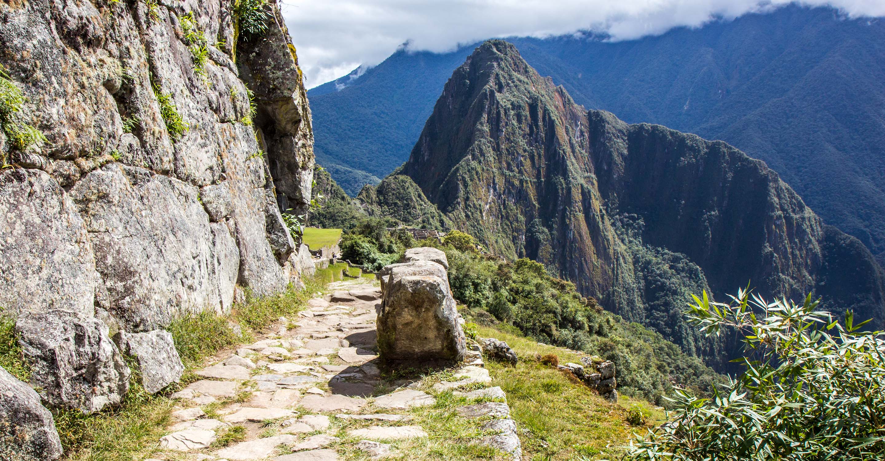 You Need To See This Andean Leak