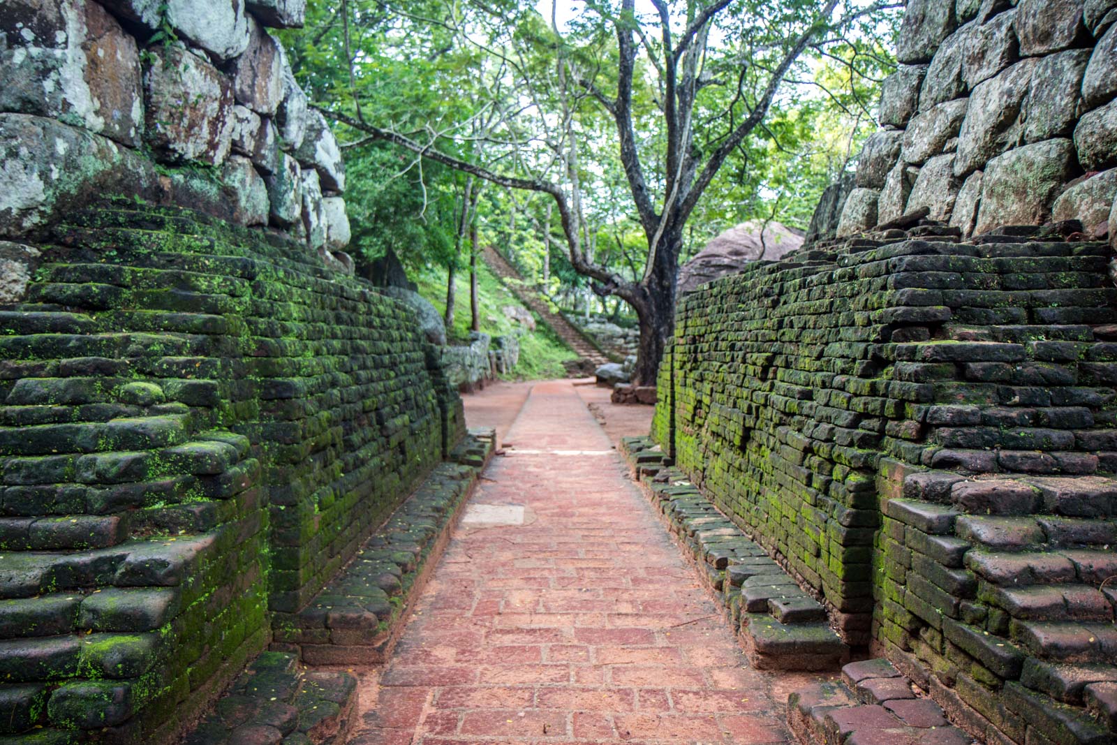 Visiting Sigiriya, Sri Lanka