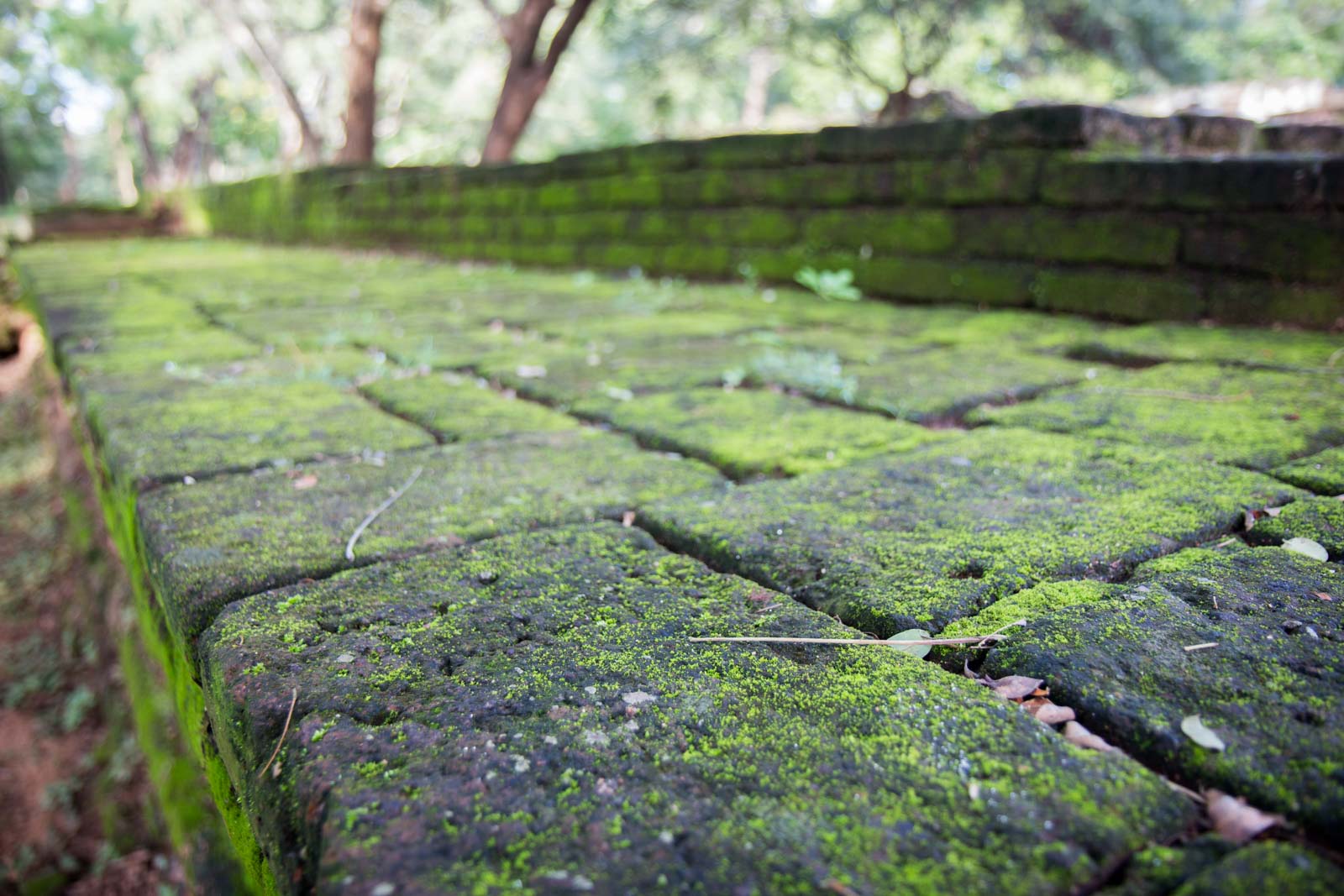 What to see at Polonnaruwa, Sri Lanka